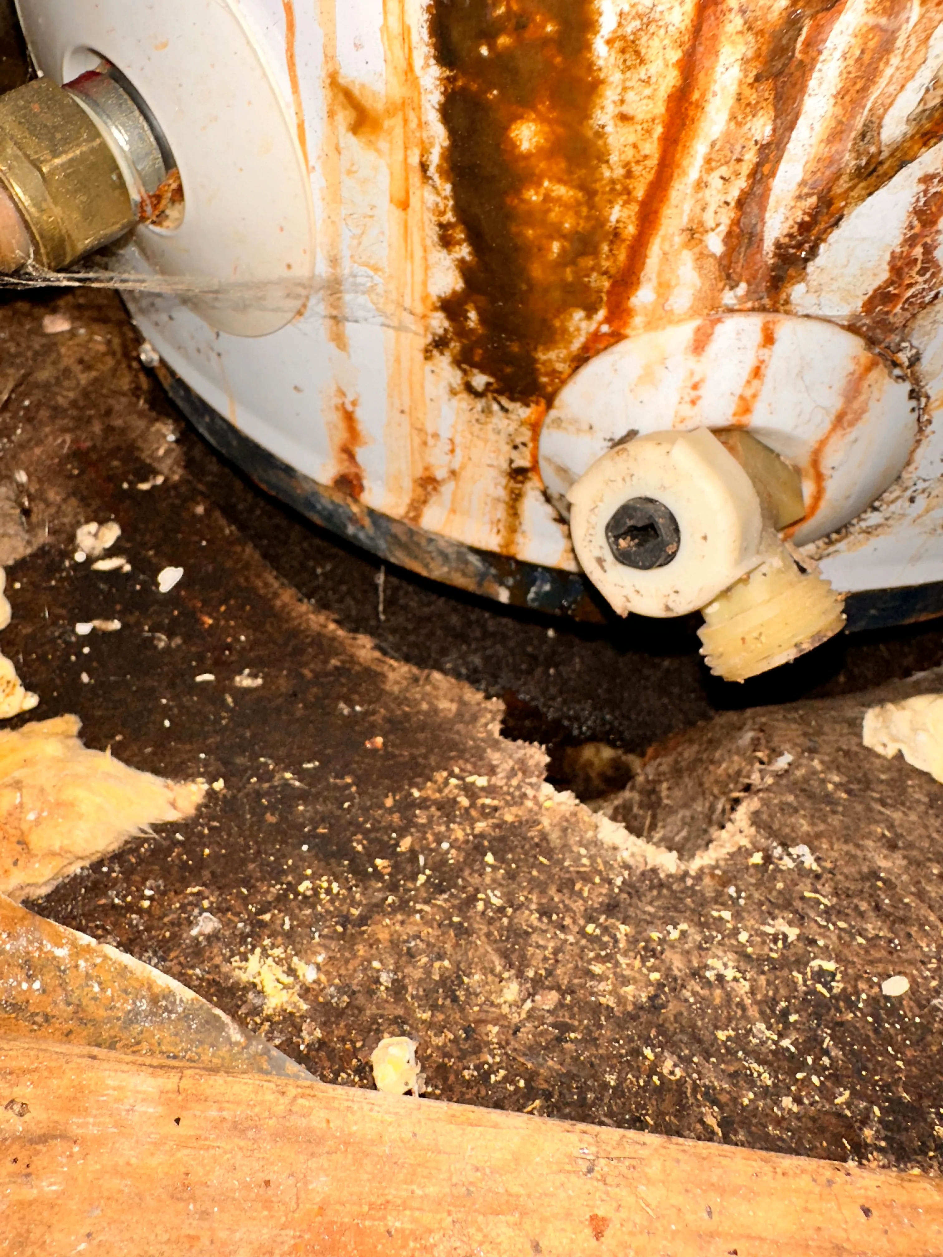 Plumbing Repairs for Purified Plumbing Services INC in Leasburg, NC