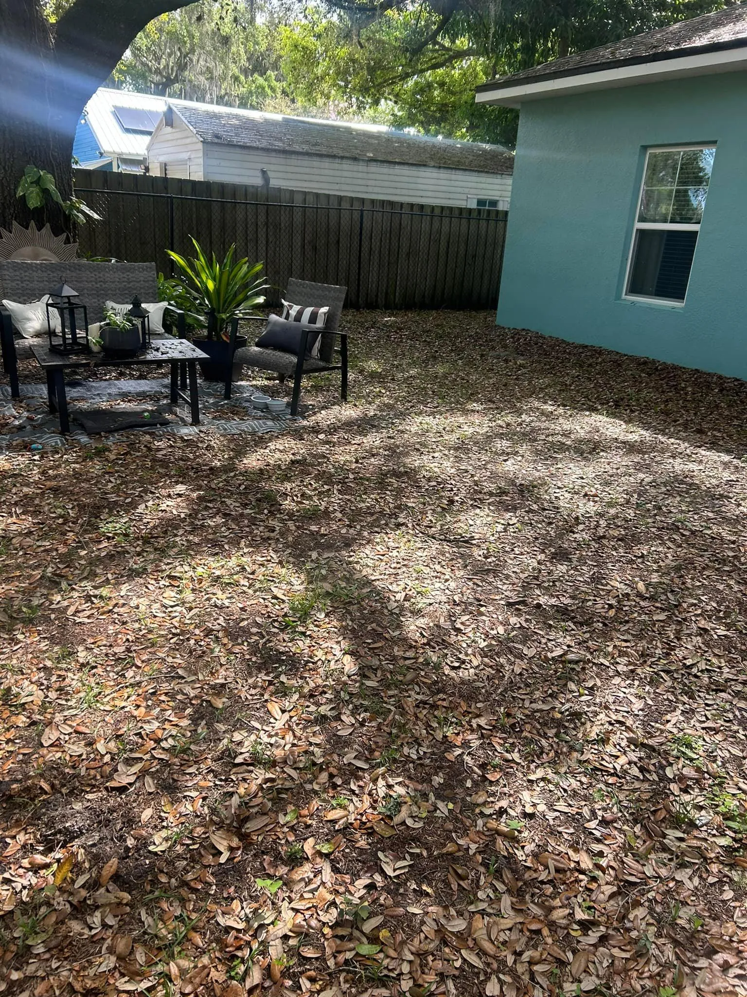 Fall and Spring Clean Up for Estrada All Pro Lawn Service in Auburndale, Florida