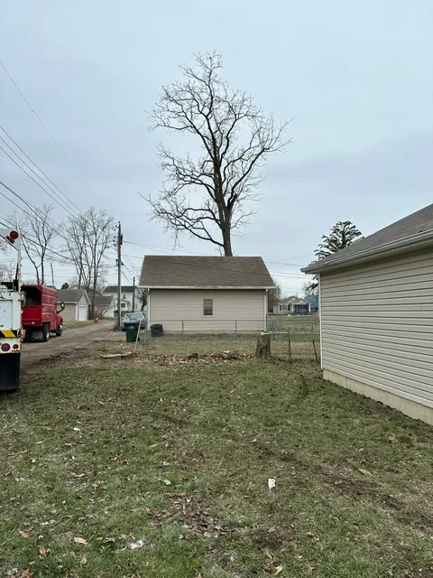 Tree Trimming and Thinning for Pro Tree Trim & Removal, Llc in Dayton, OH