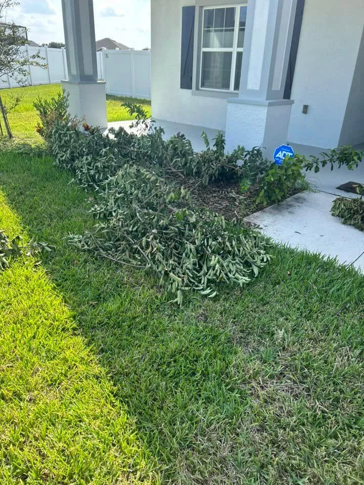 Fall and Spring Clean Up for Estrada All Pro Lawn Service in Auburndale, Florida