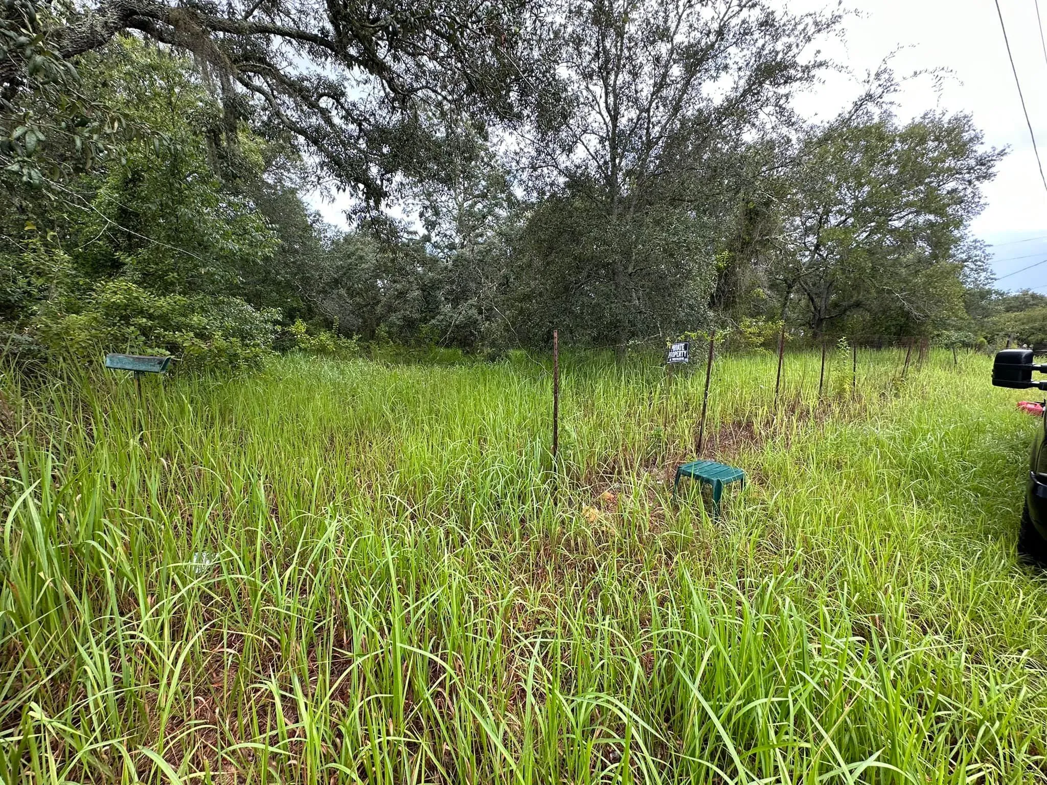 Fall and Spring Clean Up for Kramer & Son’s Property Maintenance in Hudson, FL