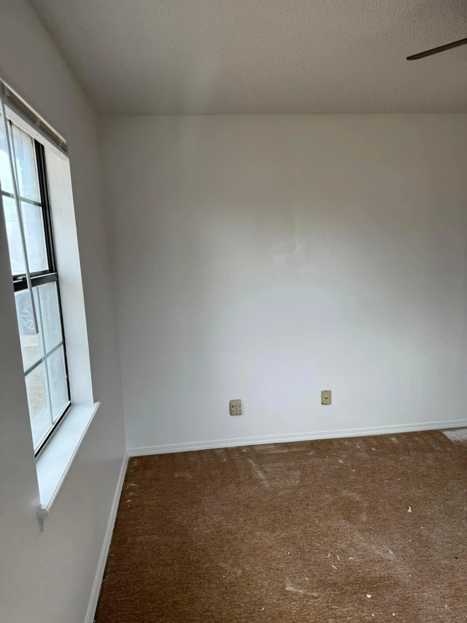 Drywall and Painting  for Quality Painting & Construction  in Russellville, AR