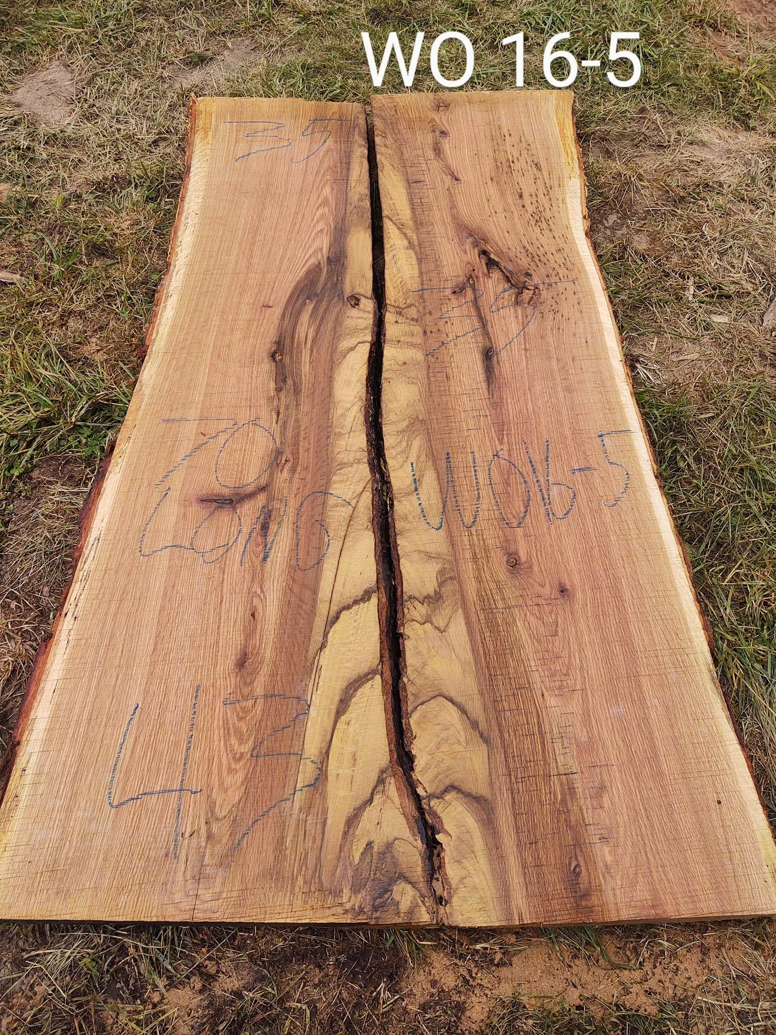 Logging for Bennett Logging in Gosport, Indiana