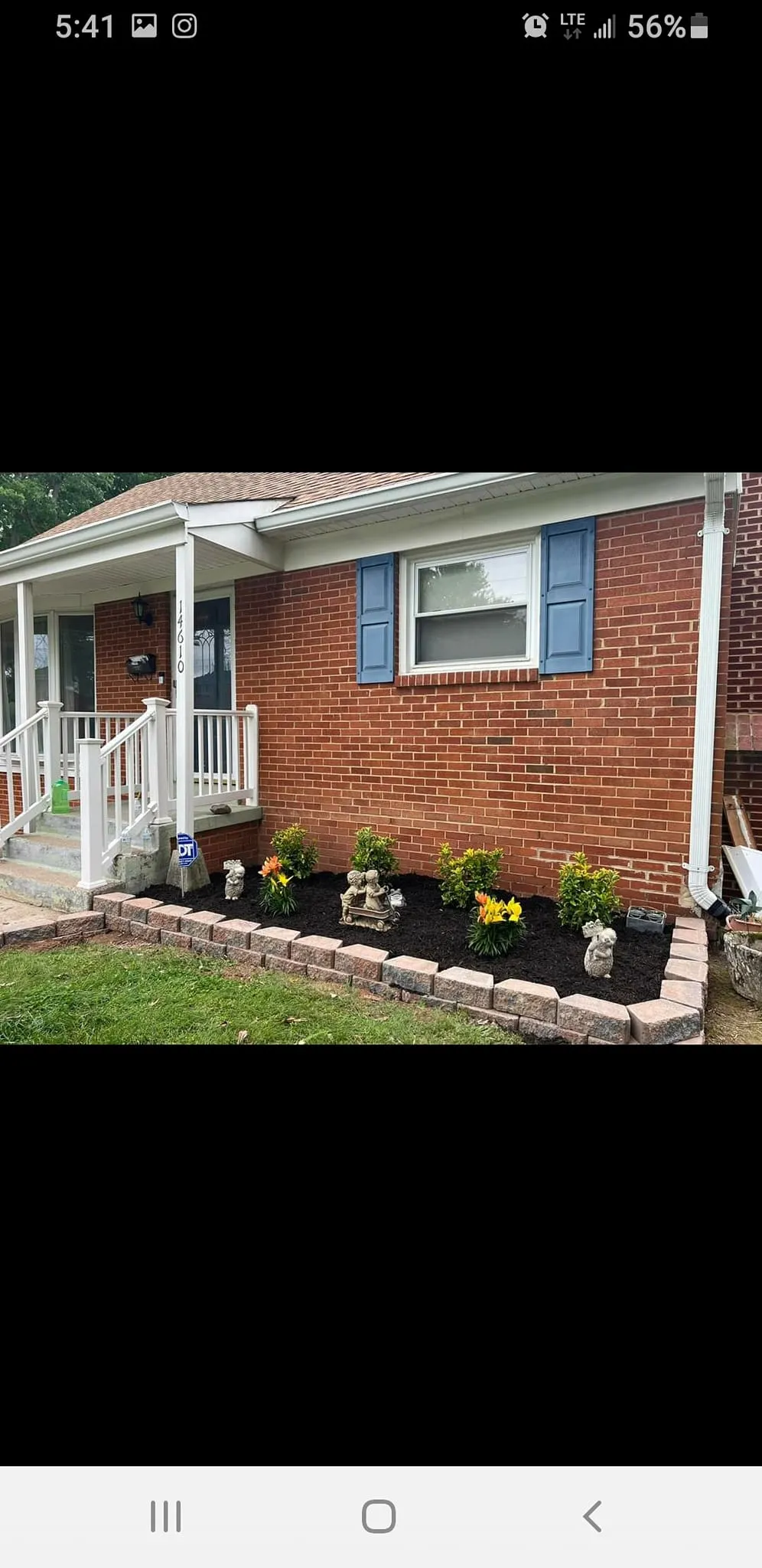 Tree Removal for Mario's Tree Service in Richmond, VA