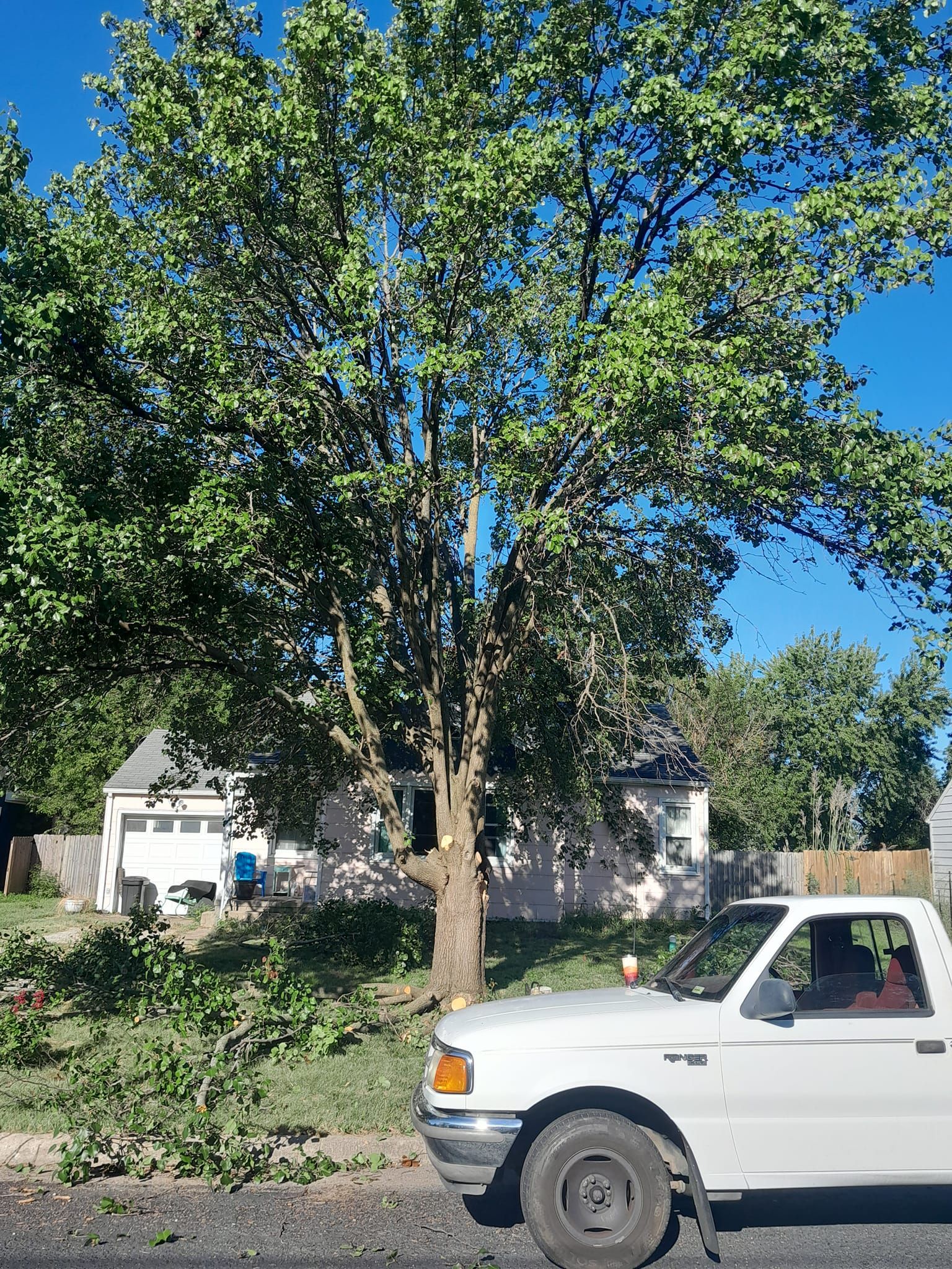  for Sky High Tree Service in Columbia, MO