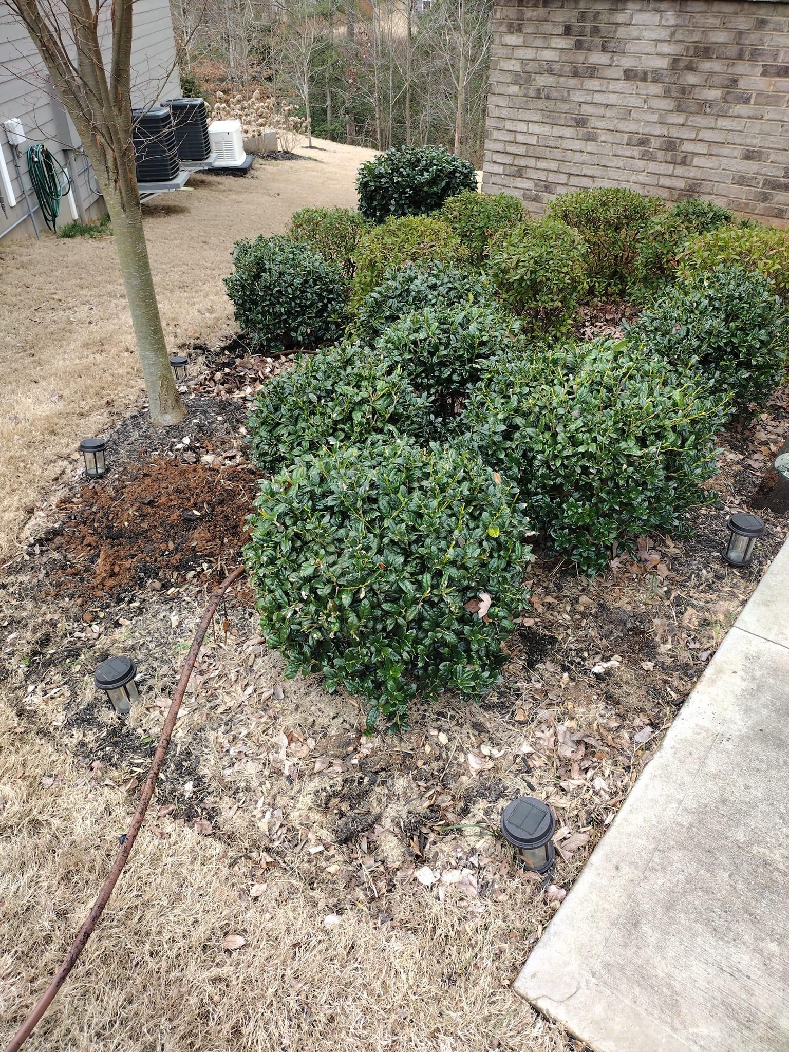  for Palmetto Cuts Lawn Care LLC in Simpsonville, SC