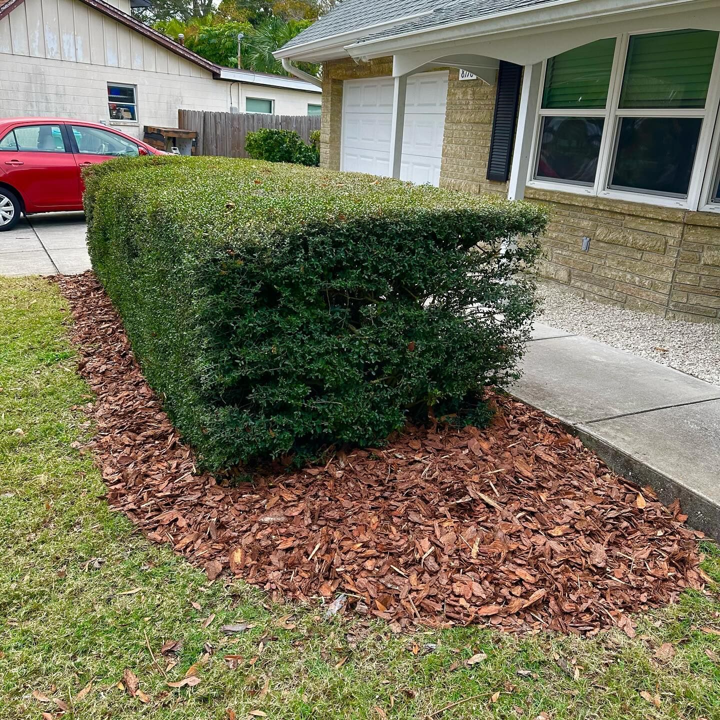 All Photos for GS Lawn & Landscape in Clearwater, FL