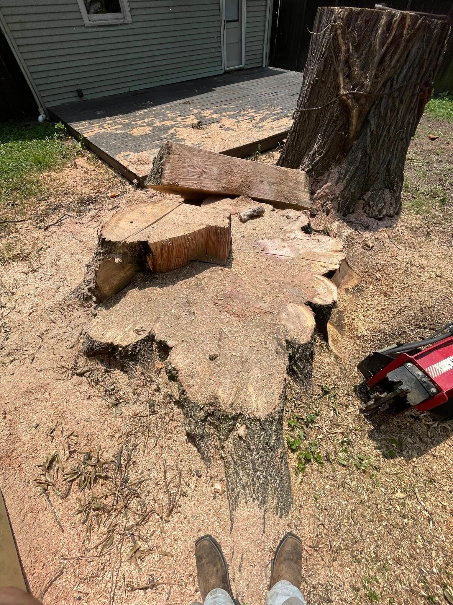  for Jace’s Tree & Stump Removal in Franklin, TN