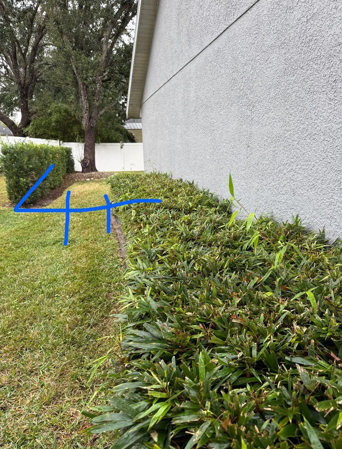  for Browne’s Yard Creations in Fruitland Park, FL