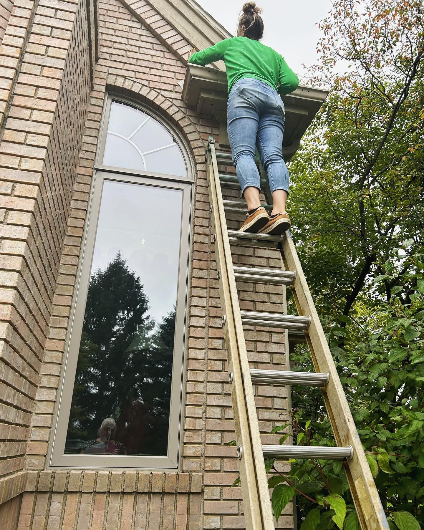  for Apex Painting in Livonia, MI