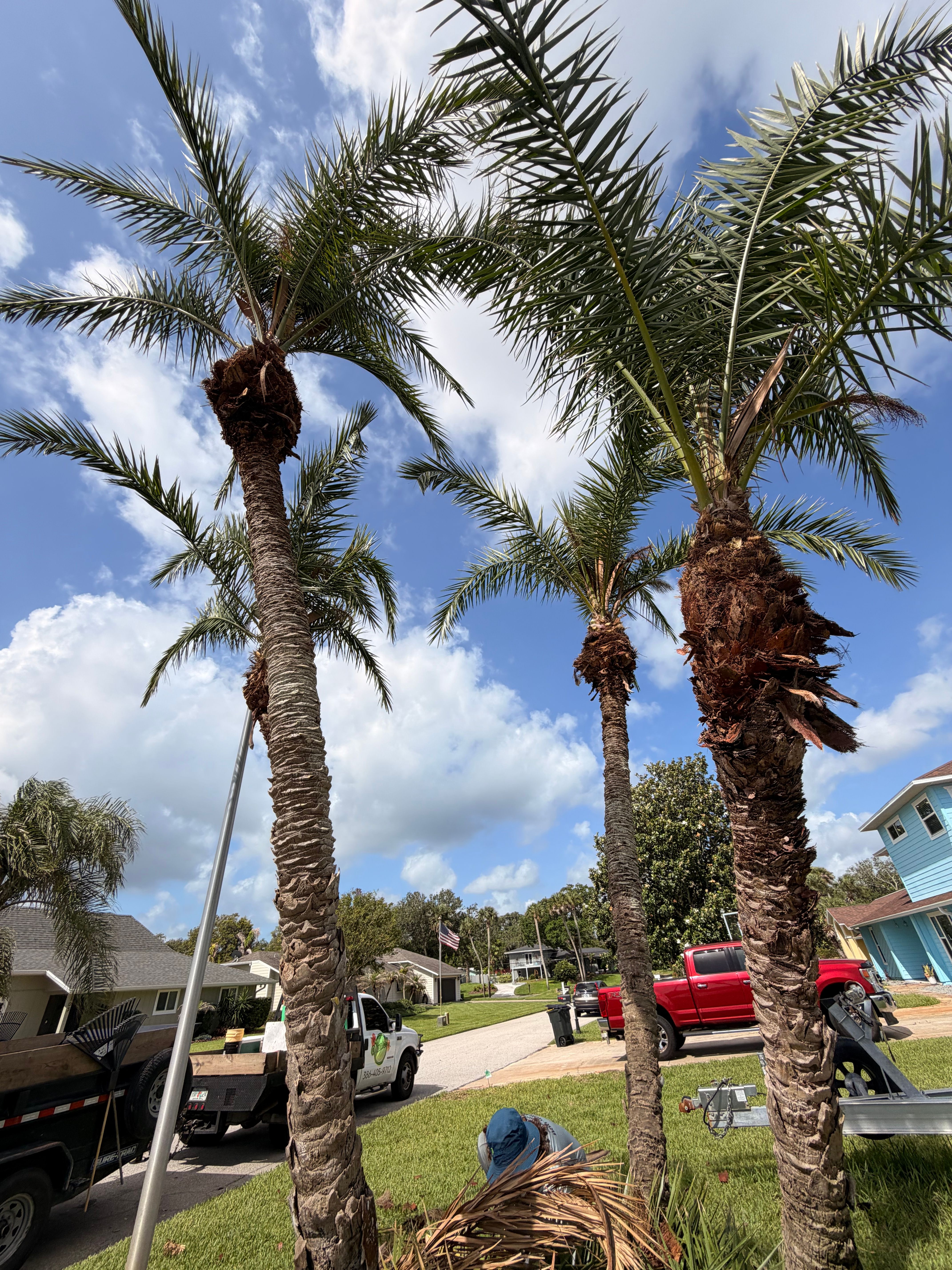  for Vanic's Landscaping in Port Orange, FL