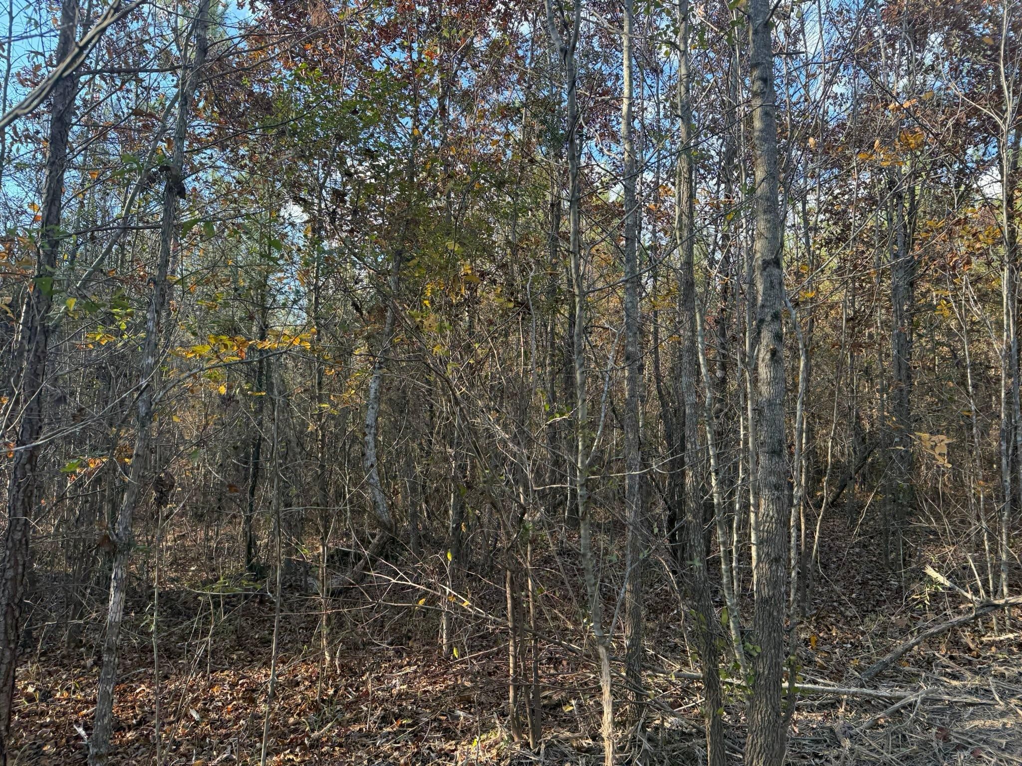  for Southern Land Improvements in Edgefield, SC