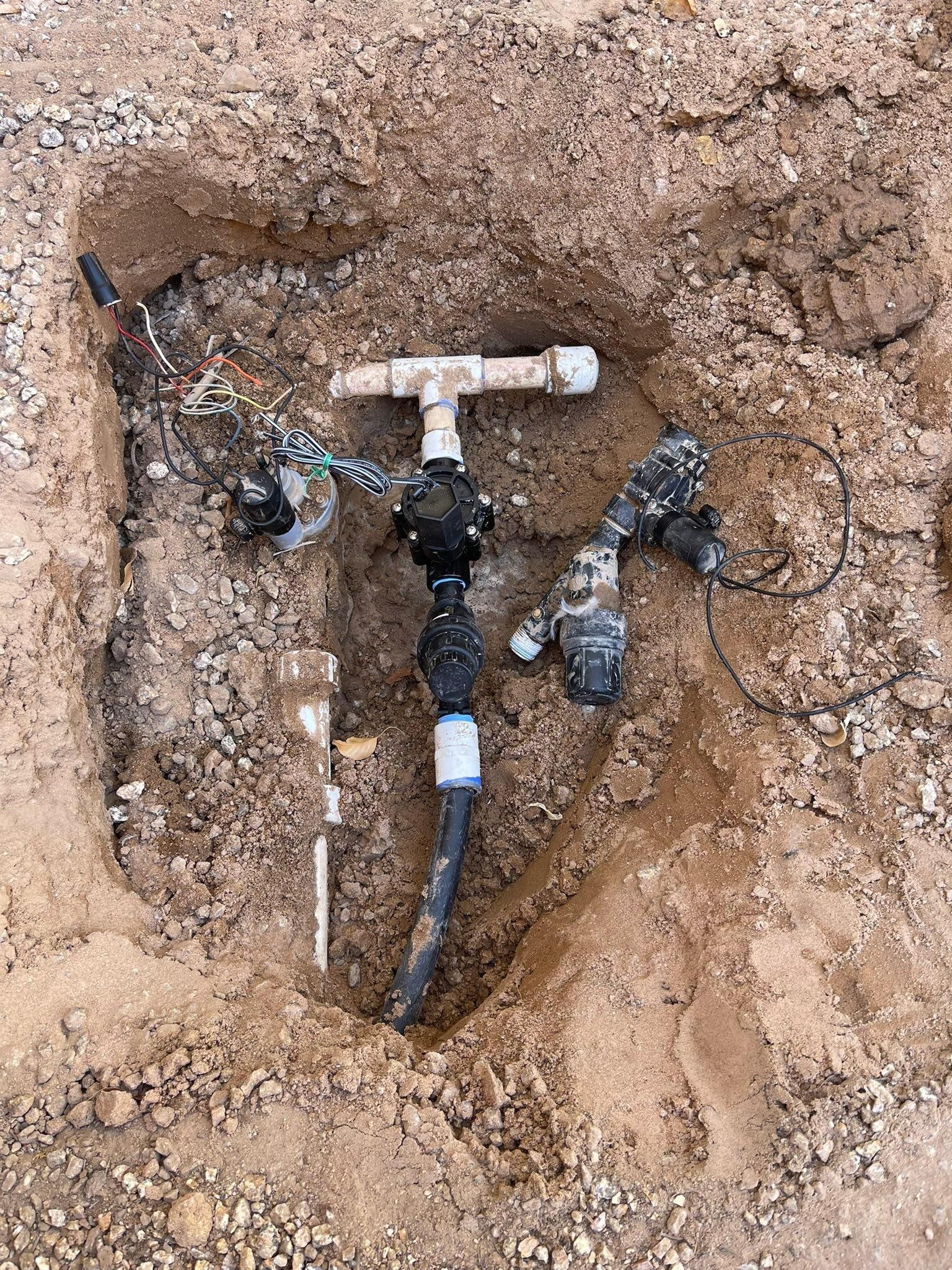  for Oliver L. Palm & Tree services in Yuma County, AZ