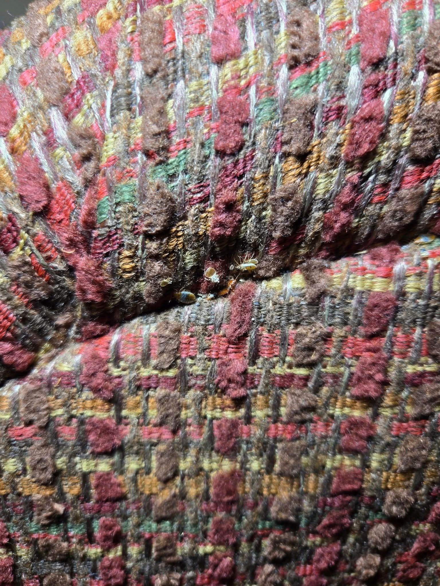  for Bug Blasterz LLC in Huntsville, AL