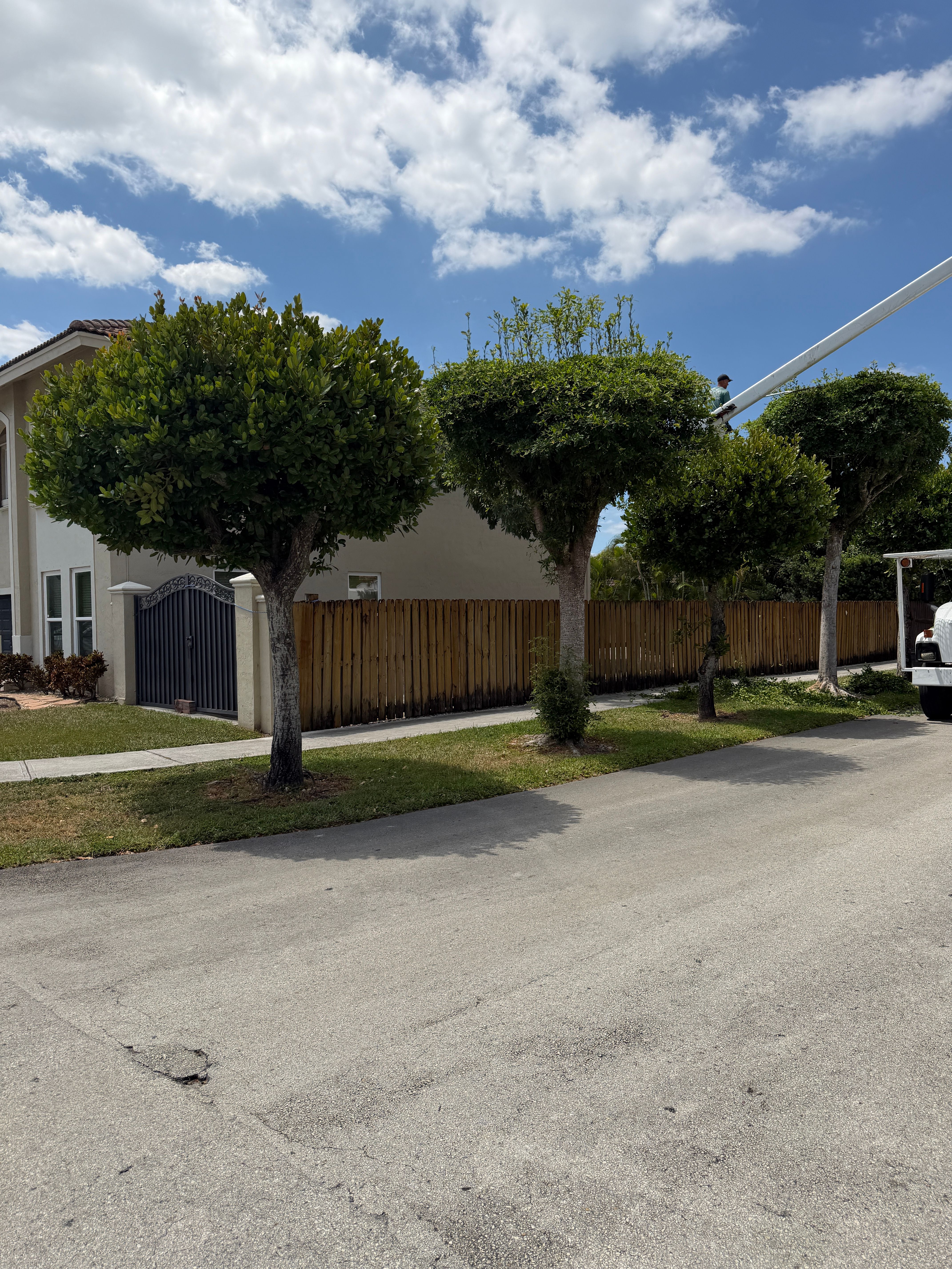  for Nurry Tree Services in Miami, FL