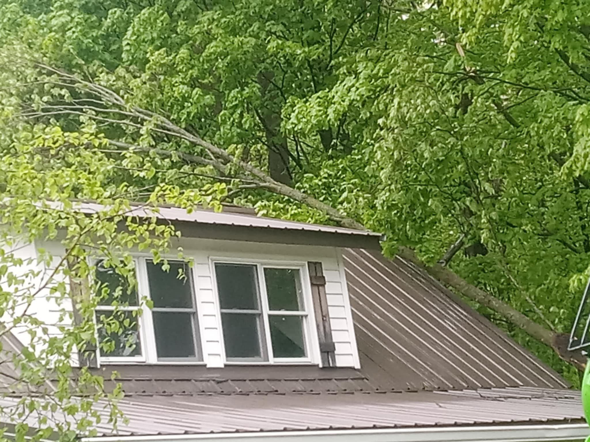  for Tree-B-Gone in Appleton, WI