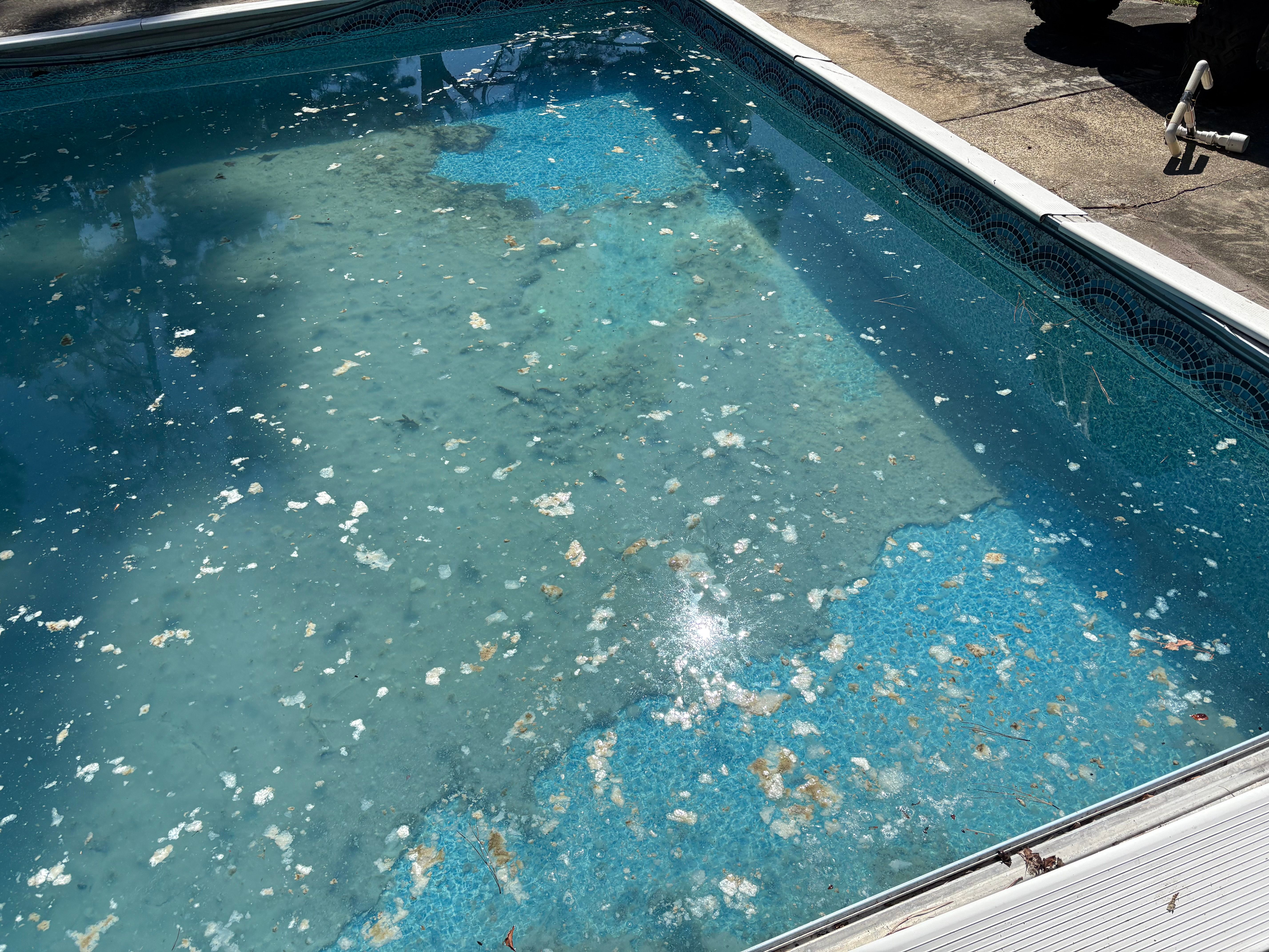  for Pool Services of Wilmington in Wilmington, NC