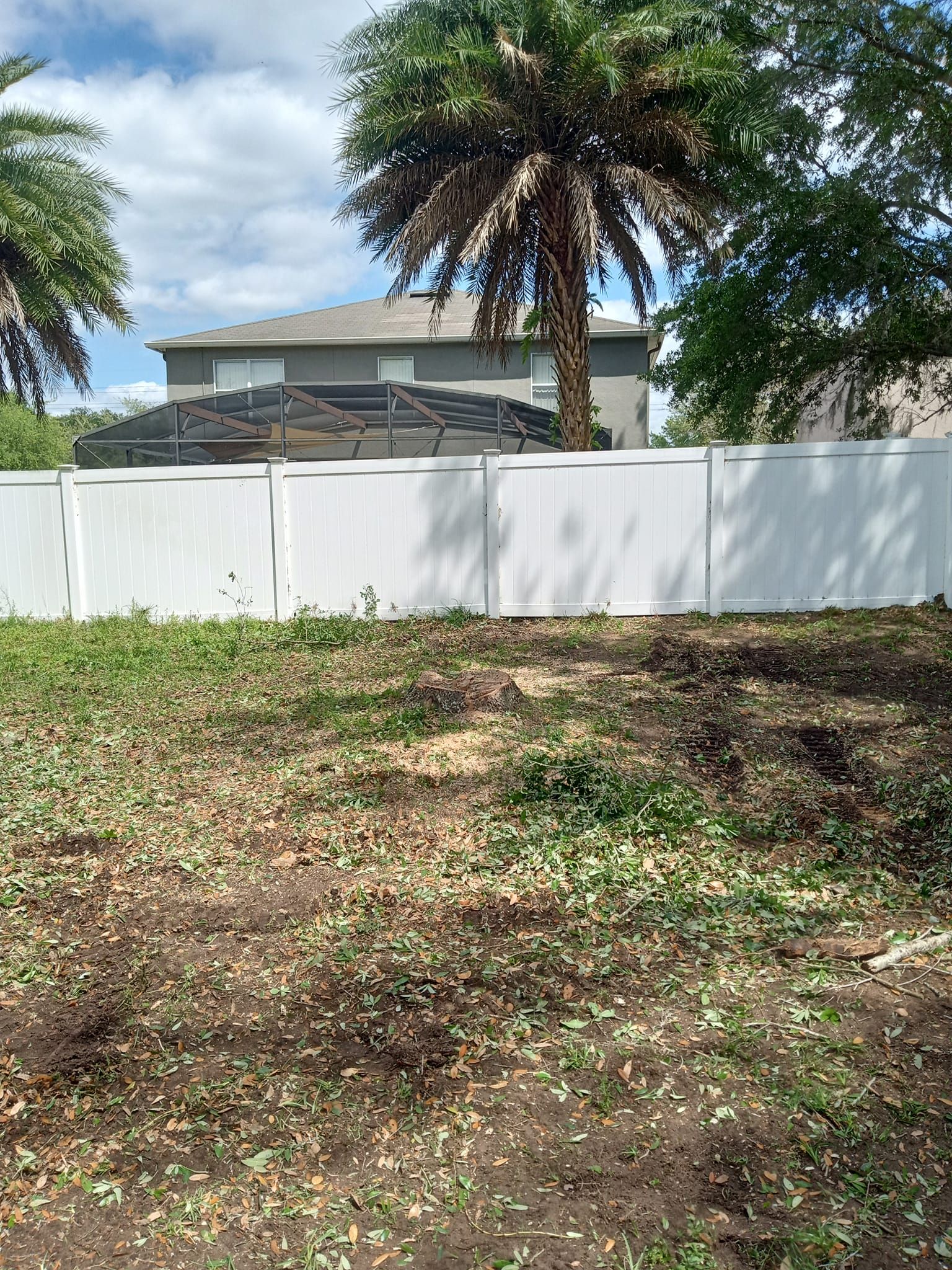  for A Southern Style Tree Service in Orlando, FL