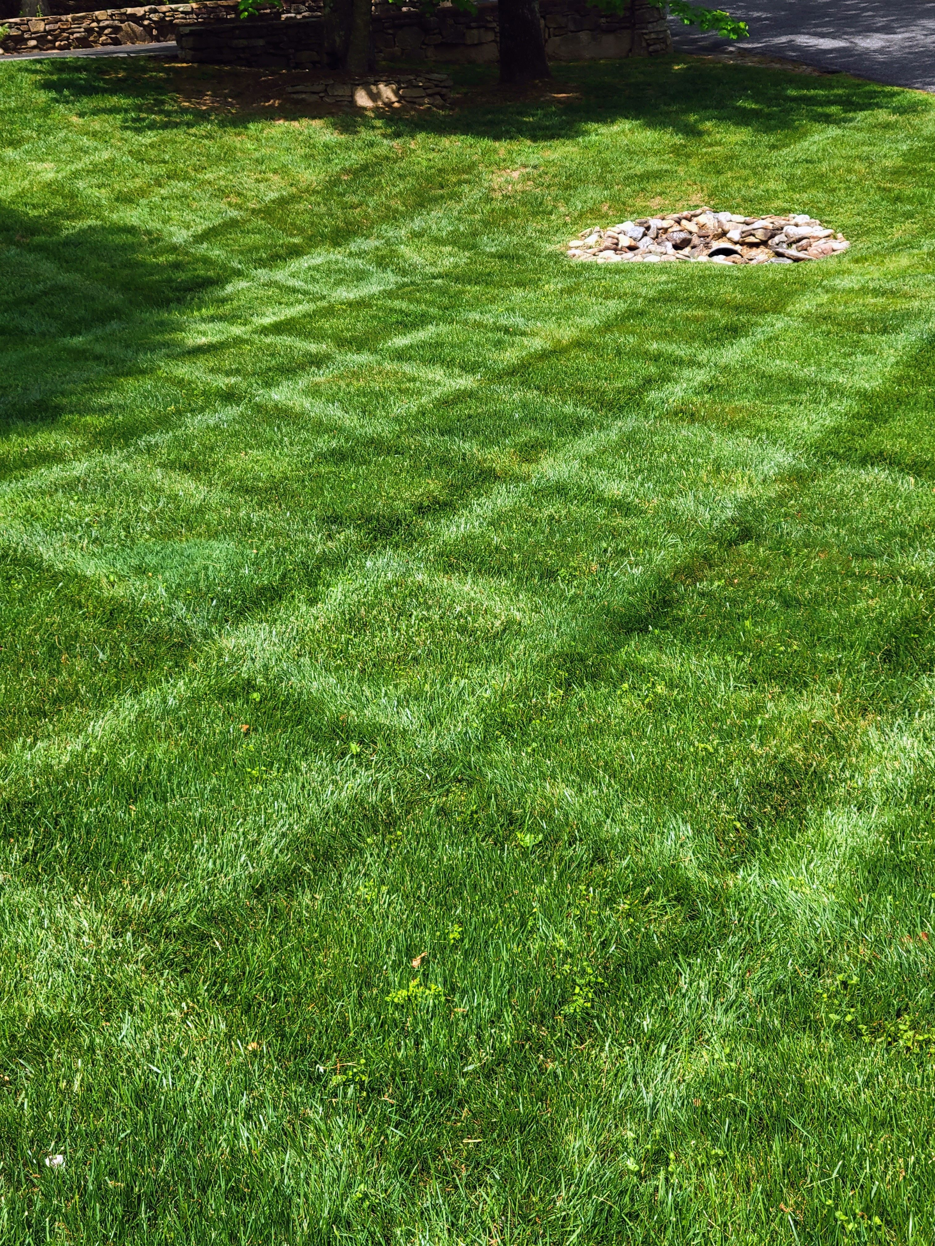  for C4 TrueVision Renovations in Asheville, NC