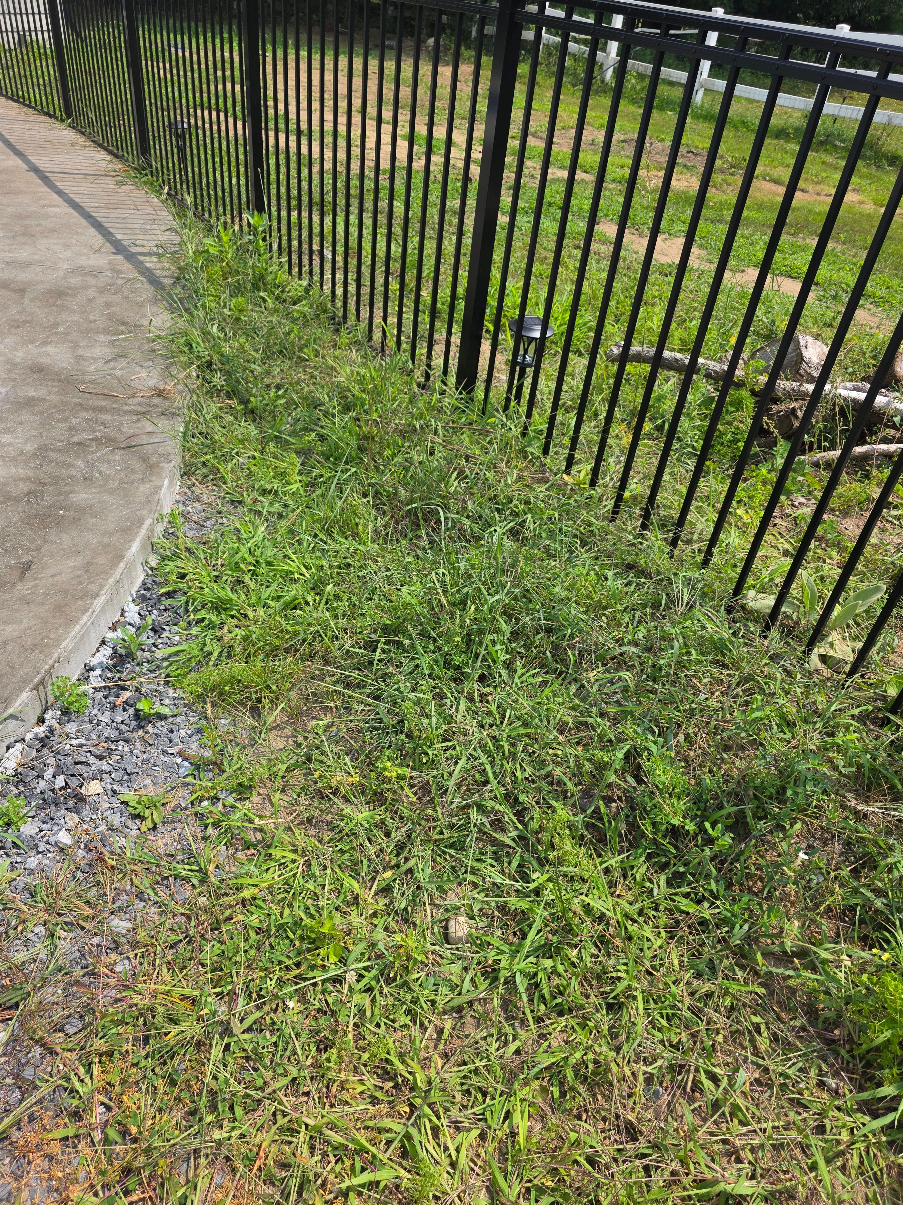  for Sweet Scapes in Ballston Spa, NY