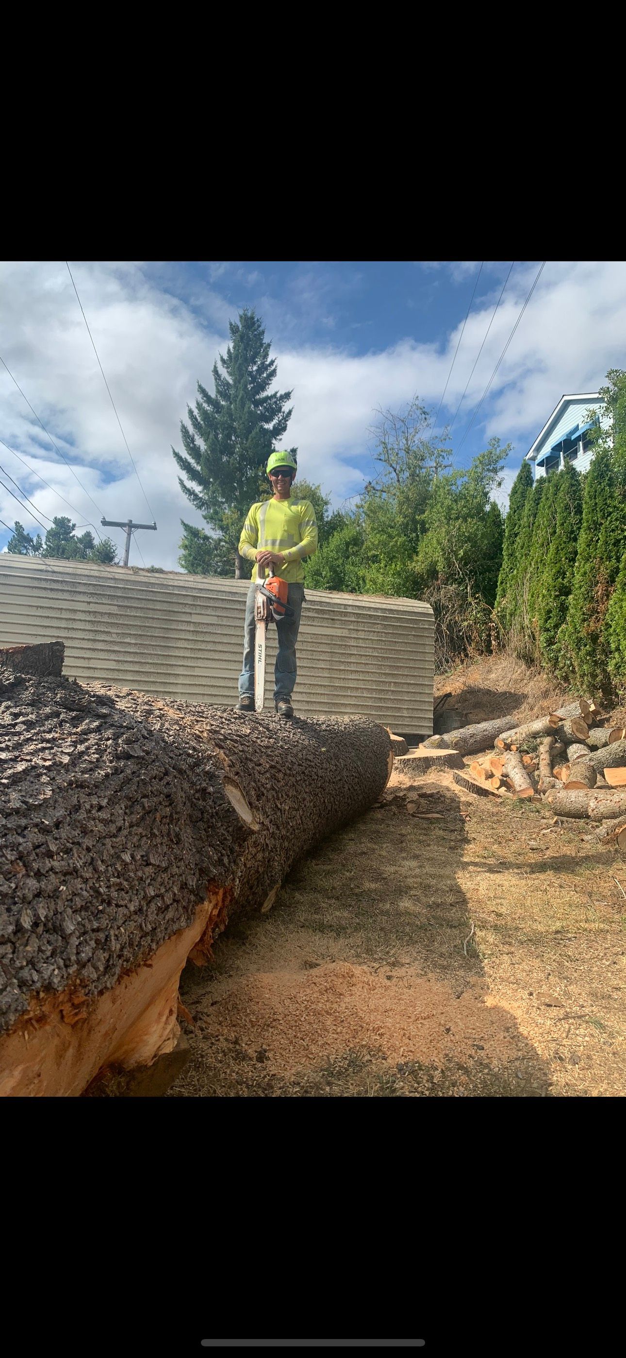 All Photos for Ascension Tree Care LLC in Yakima County, WA