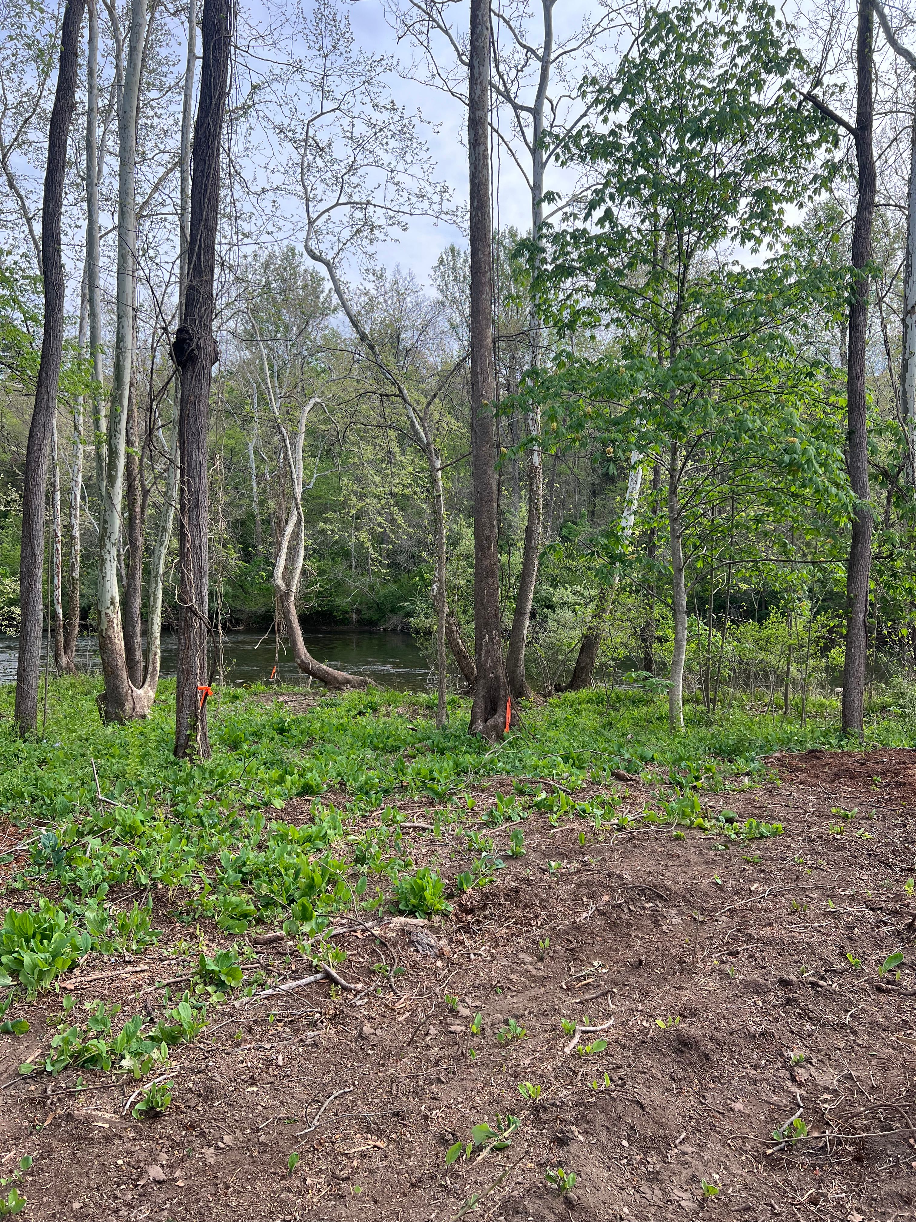 All Photos for Clarke Excavation Co. in Covington, VA