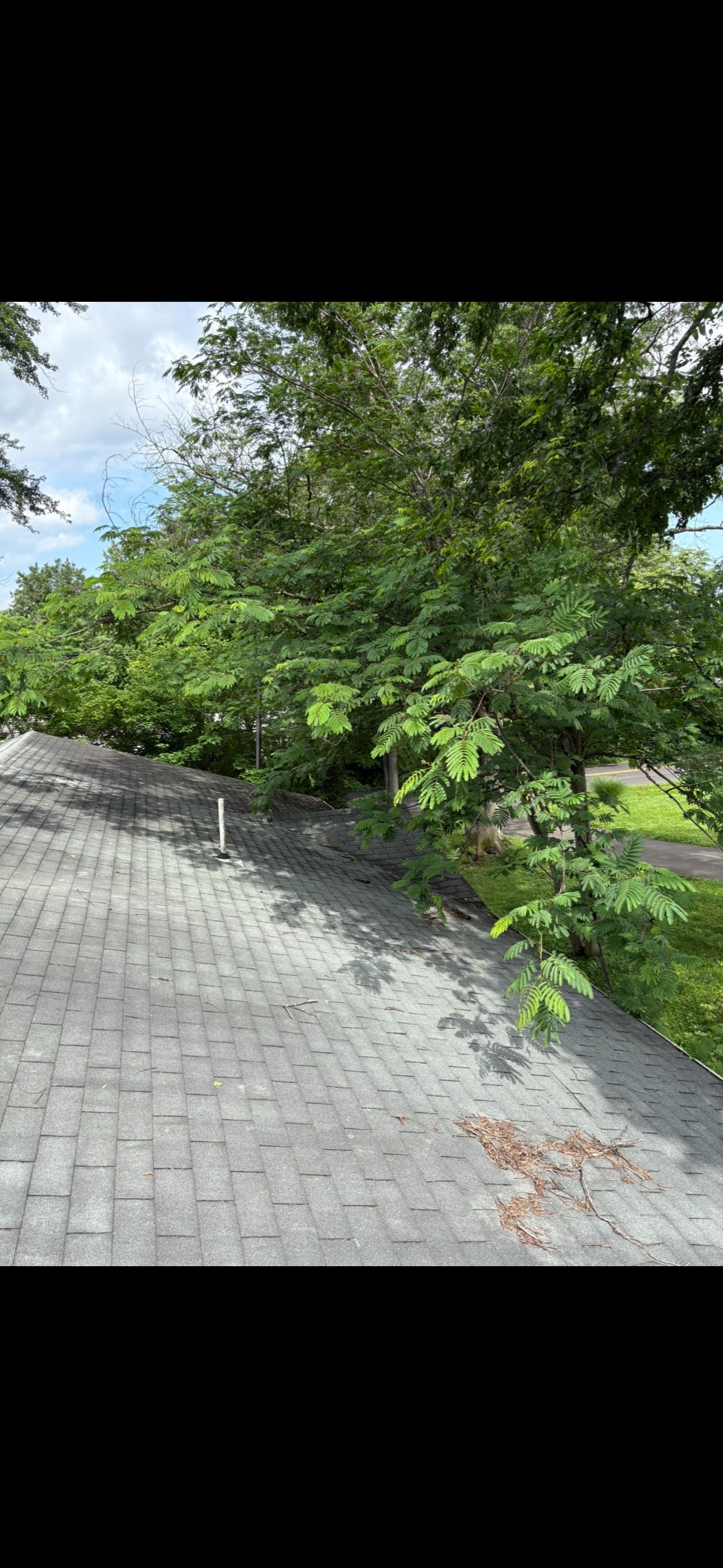  for Mountainside Property Services LLC in Warrenton, VA
