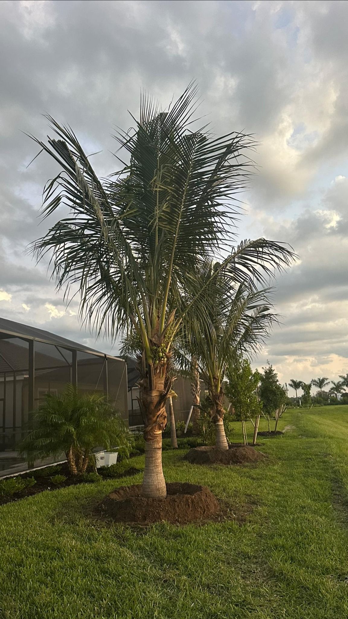  for Plant World LLC in Cape Coral, FL