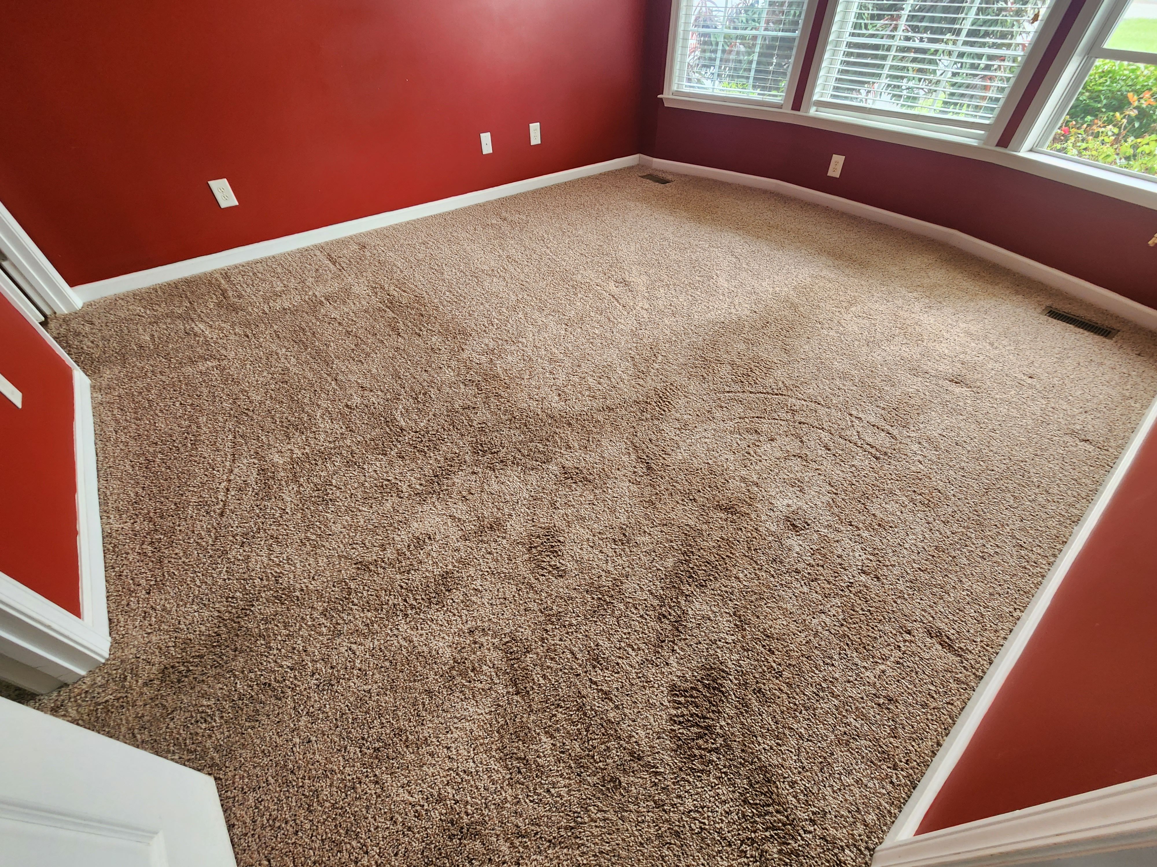 Carpet Cleaning for Sammy's Carpet Cleaning in Lewis County, TN