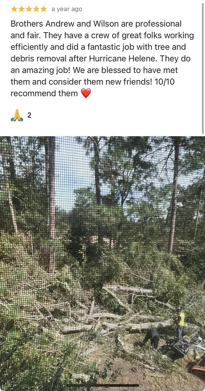  for AB Tree Service in Raleigh, NC