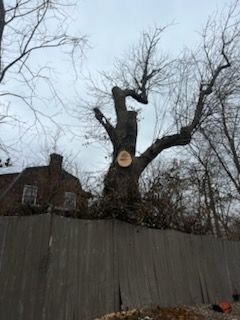  for Advanced Tree Solutions in Rockville, IN