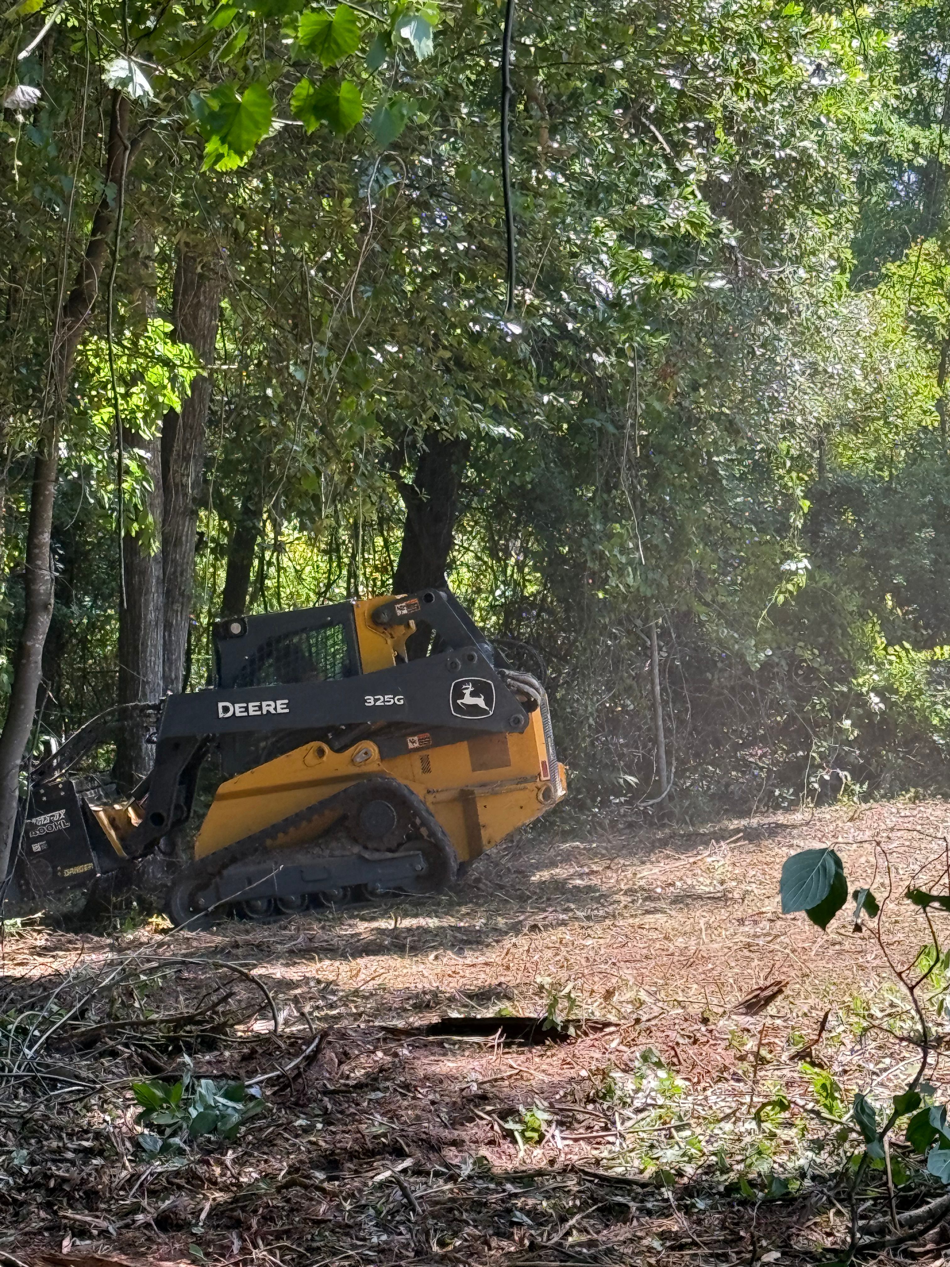  for T N L - Tree and Land Service in Reynolds, GA