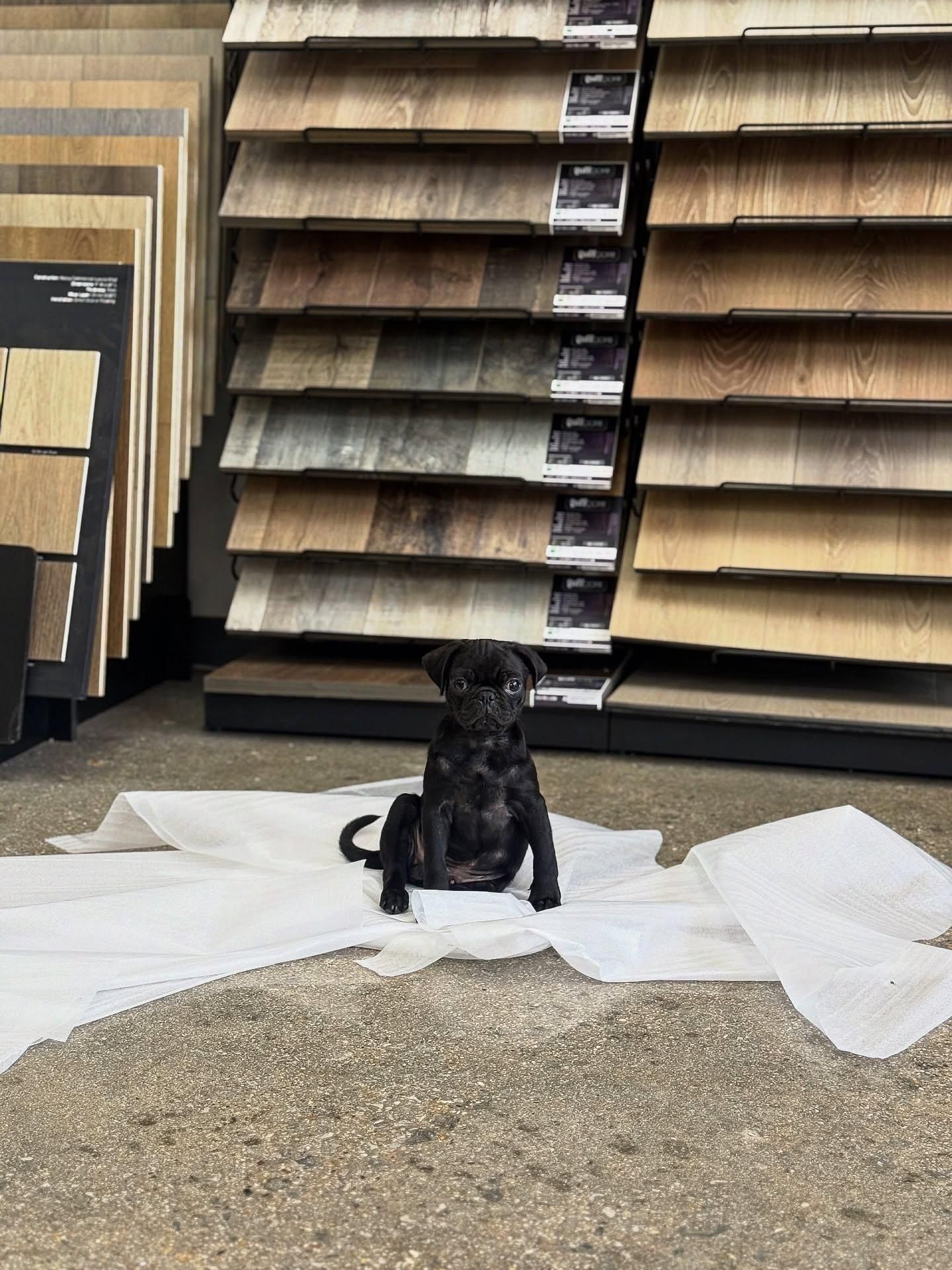  for Wall To Wall Flooring in Fort Worth, TX