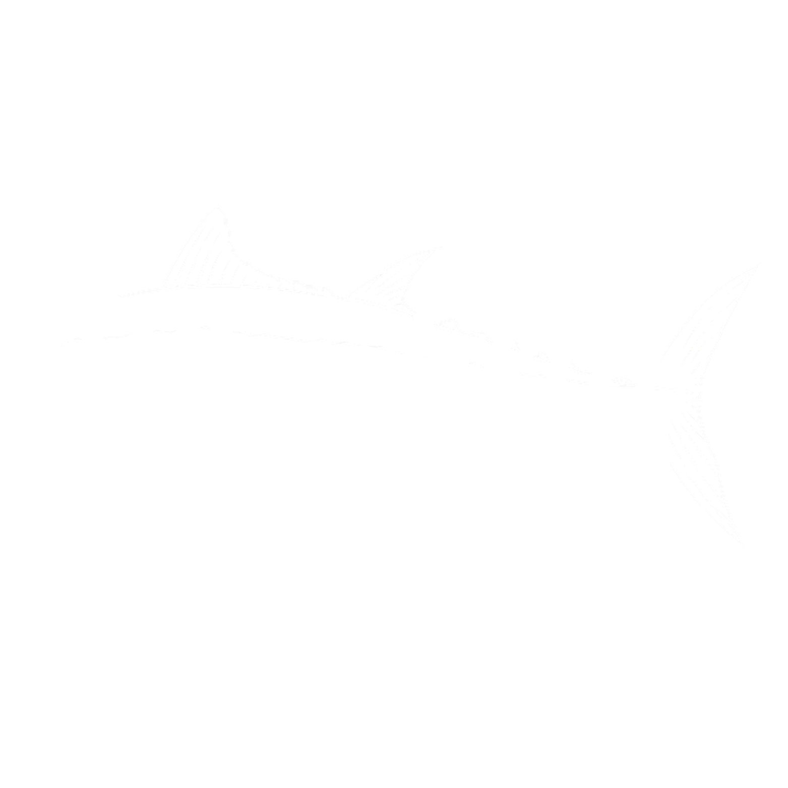  for Blackfin Pro Wash LLC in Houma, LA