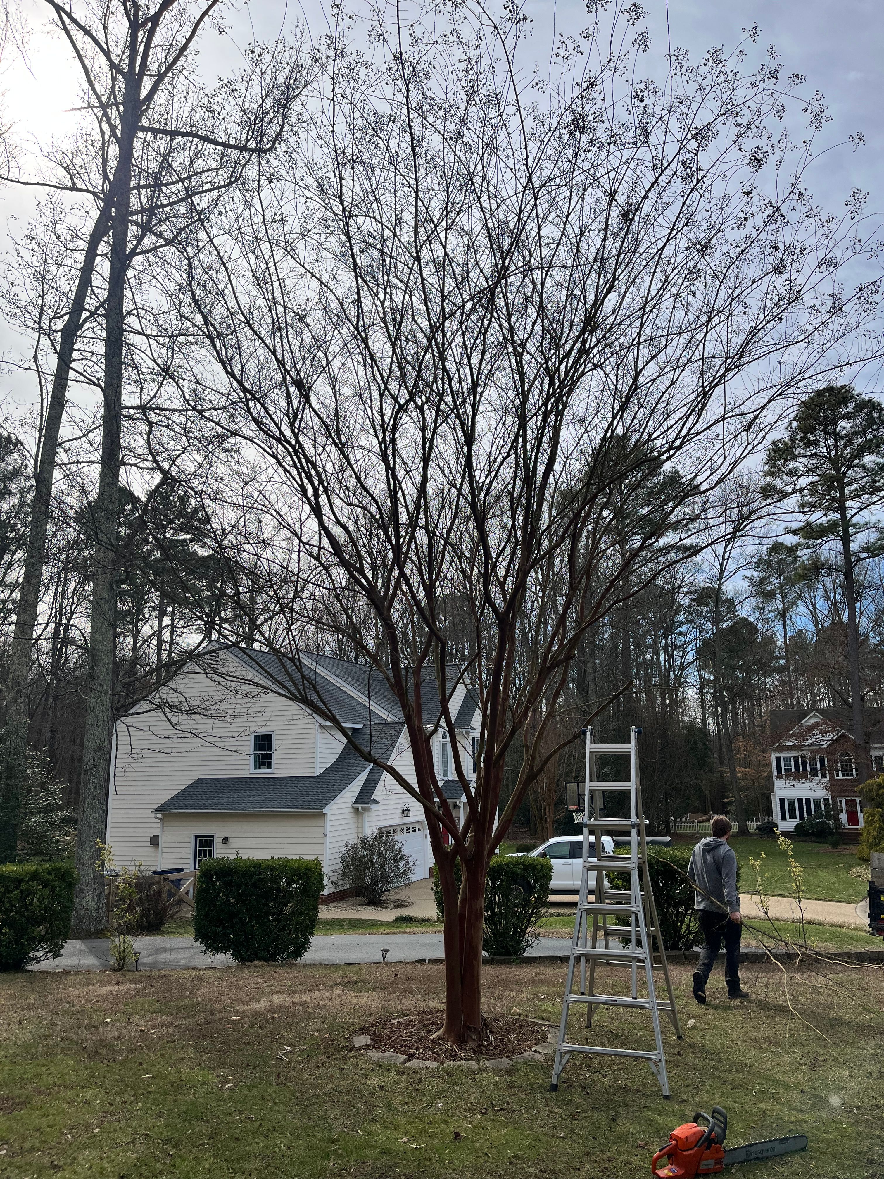  for Atlas Home Services in Mechanicsville, VA