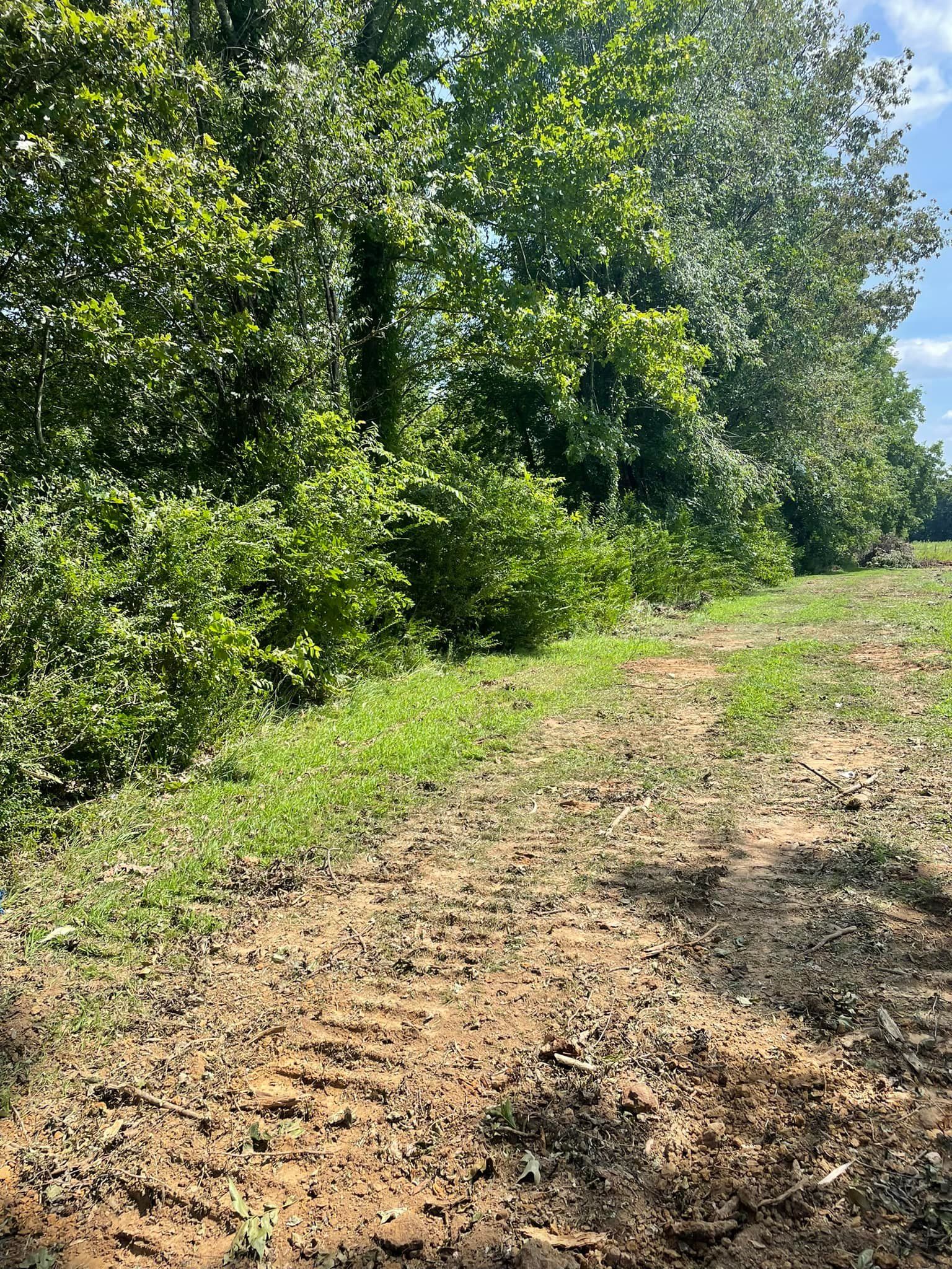  for Beaver Excavating Services in Friendship, TN