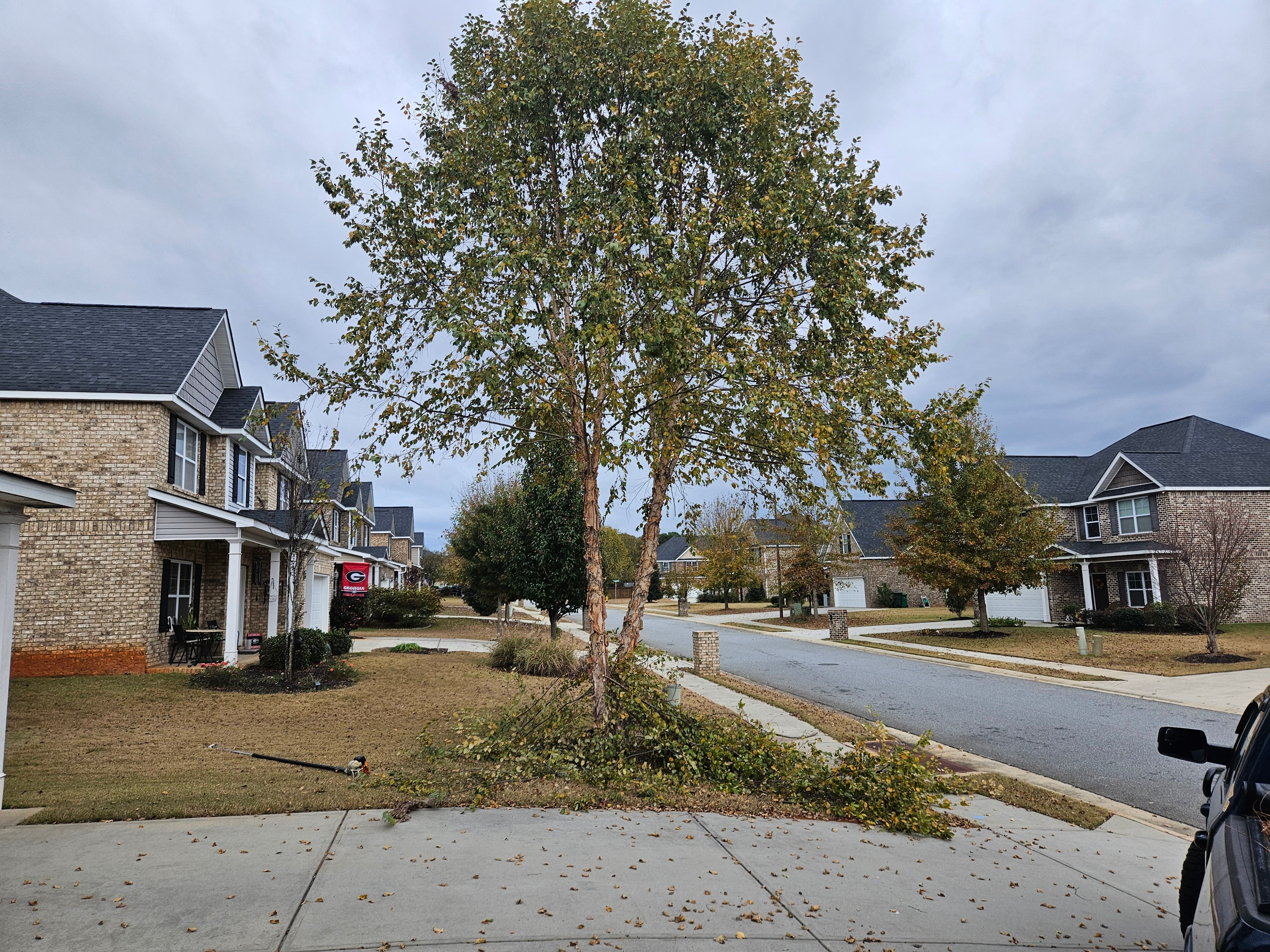  for Zepeda's Mowing in Fort Valley, GA