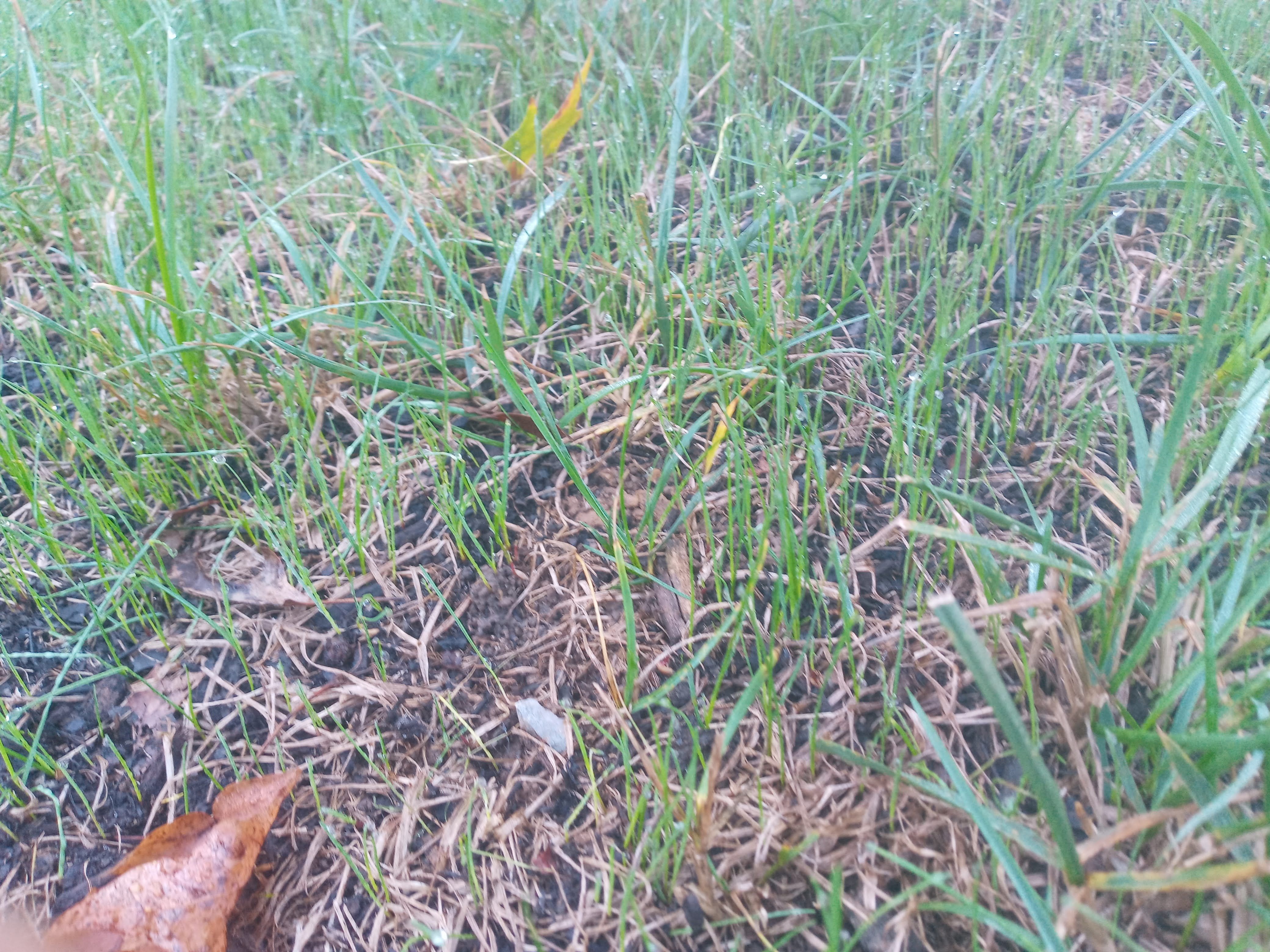  for Sam I AM Property Solutions in Sunderland, MD