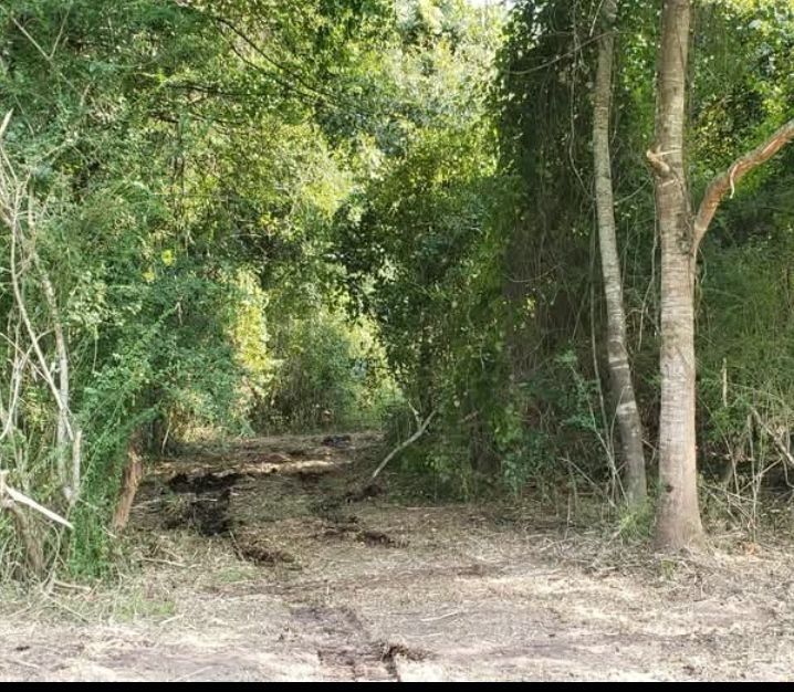 All Photos for TJ Farm and Land Management in Loris, SC