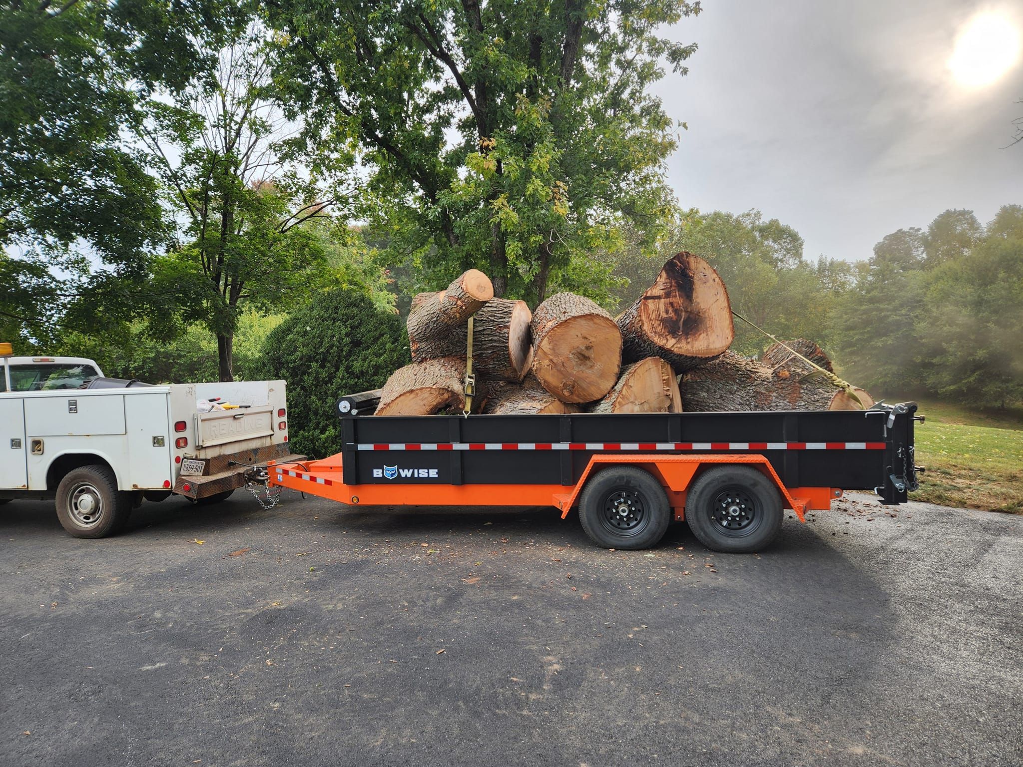 Tree Removal for Stumpbusters Tree Service in Louisa County, VA