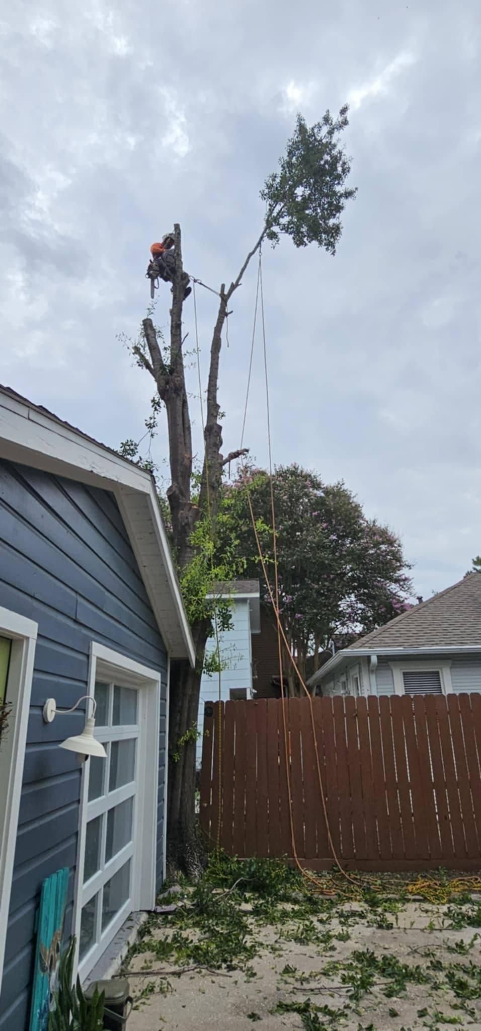 for Servin's Tree Care  in Houston, TX