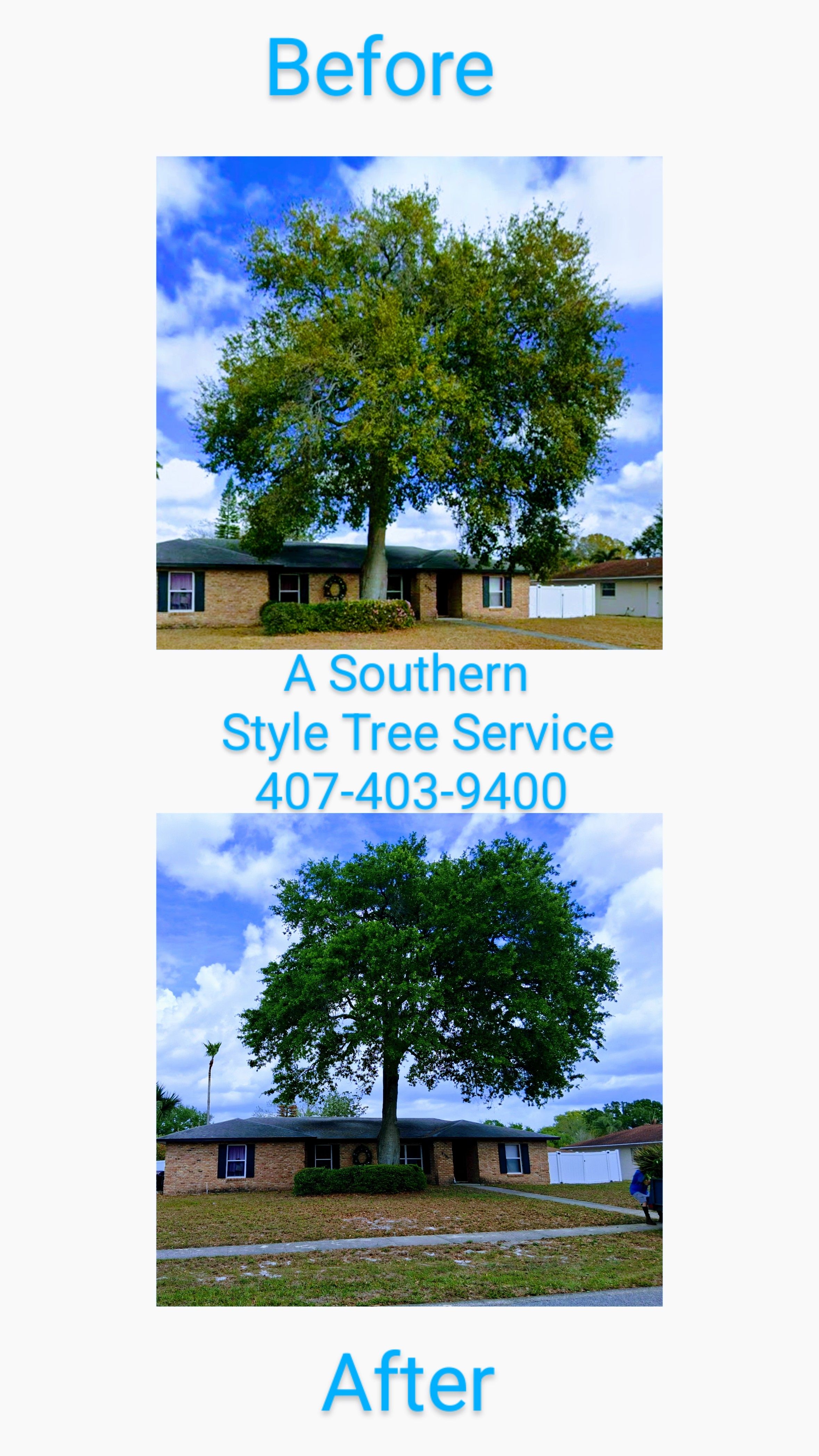  for A Southern Style Tree Service in Orlando, FL