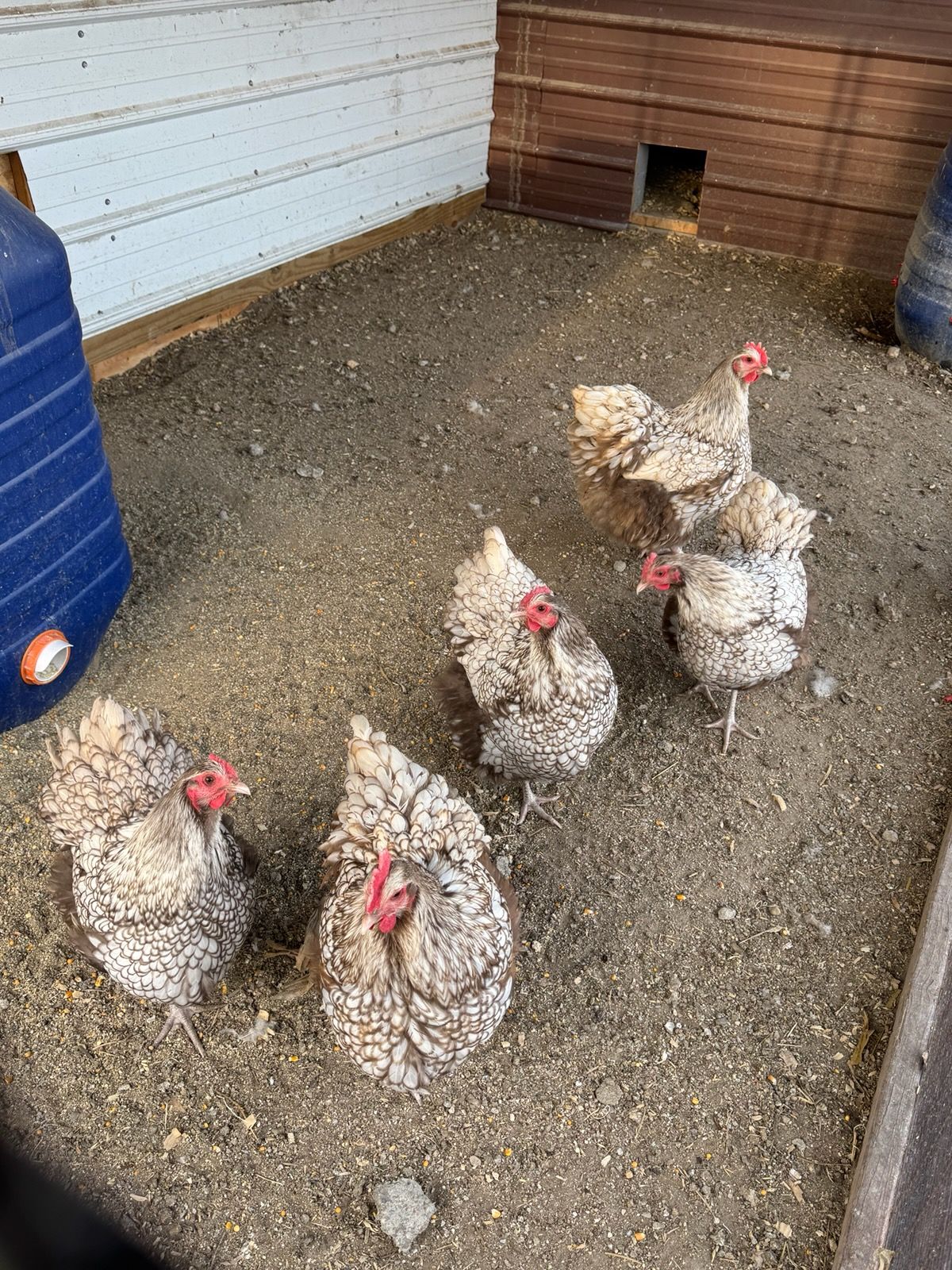  for HDE Services LLC in Grand Island, NE