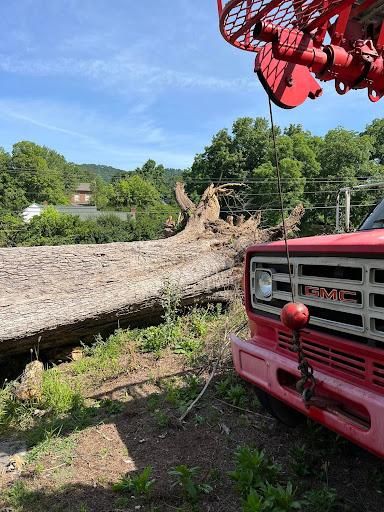  for Brocks Tree Service LLC in Rogersville, TN