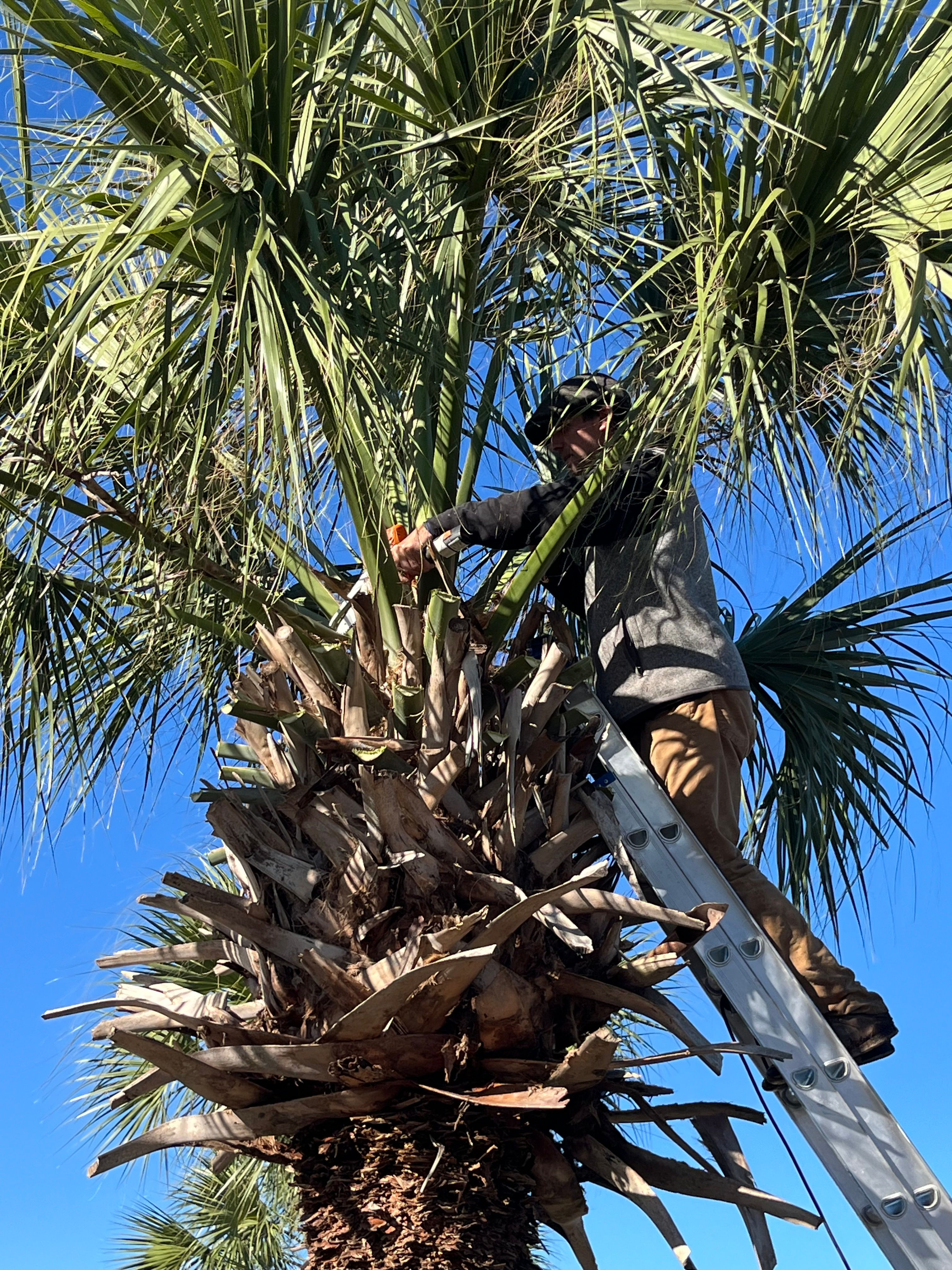  for New Creation Landscaping in Myrtle Beach, SC