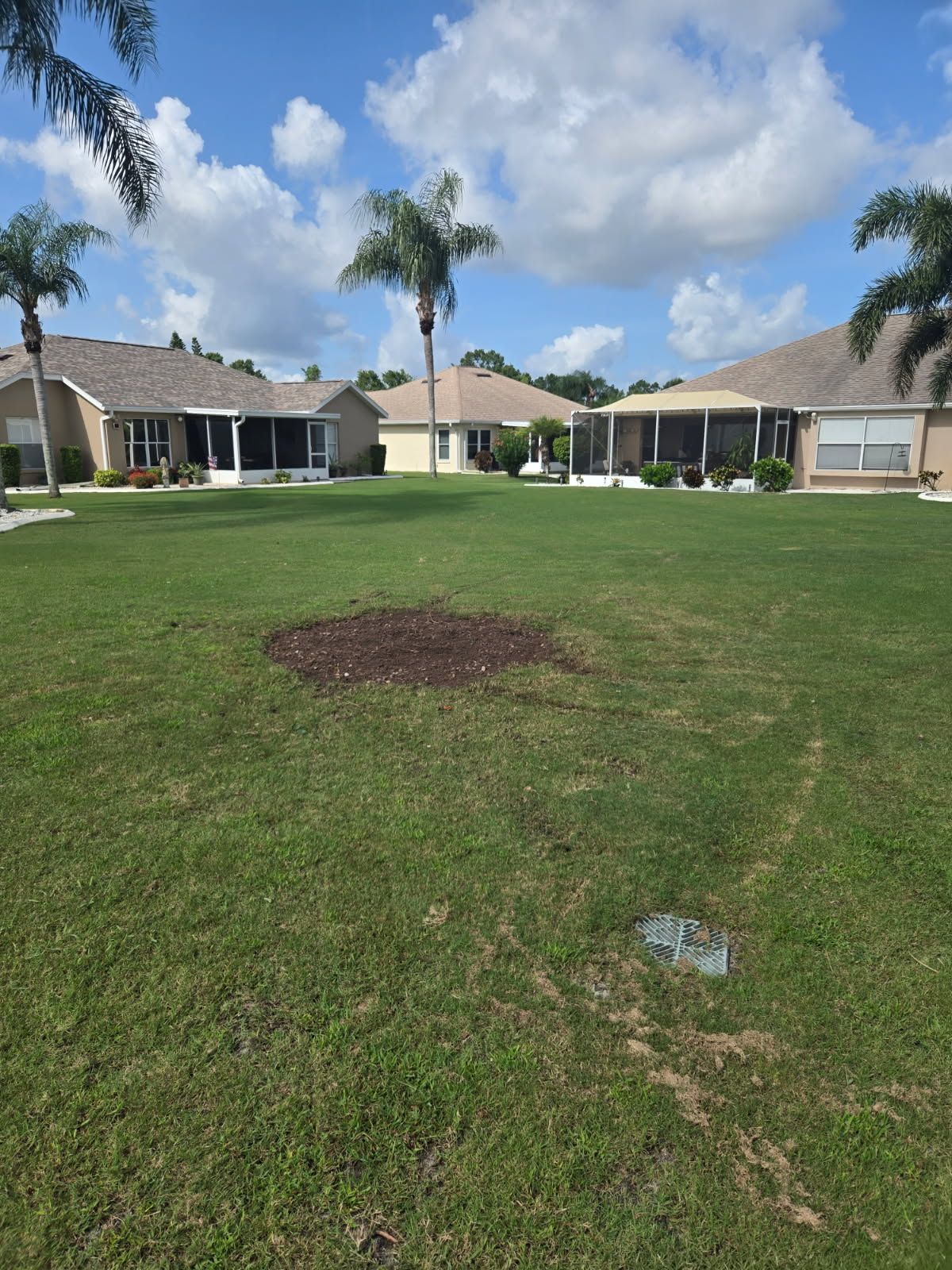 All Photos for TREE BOYS in Ruskin, FL