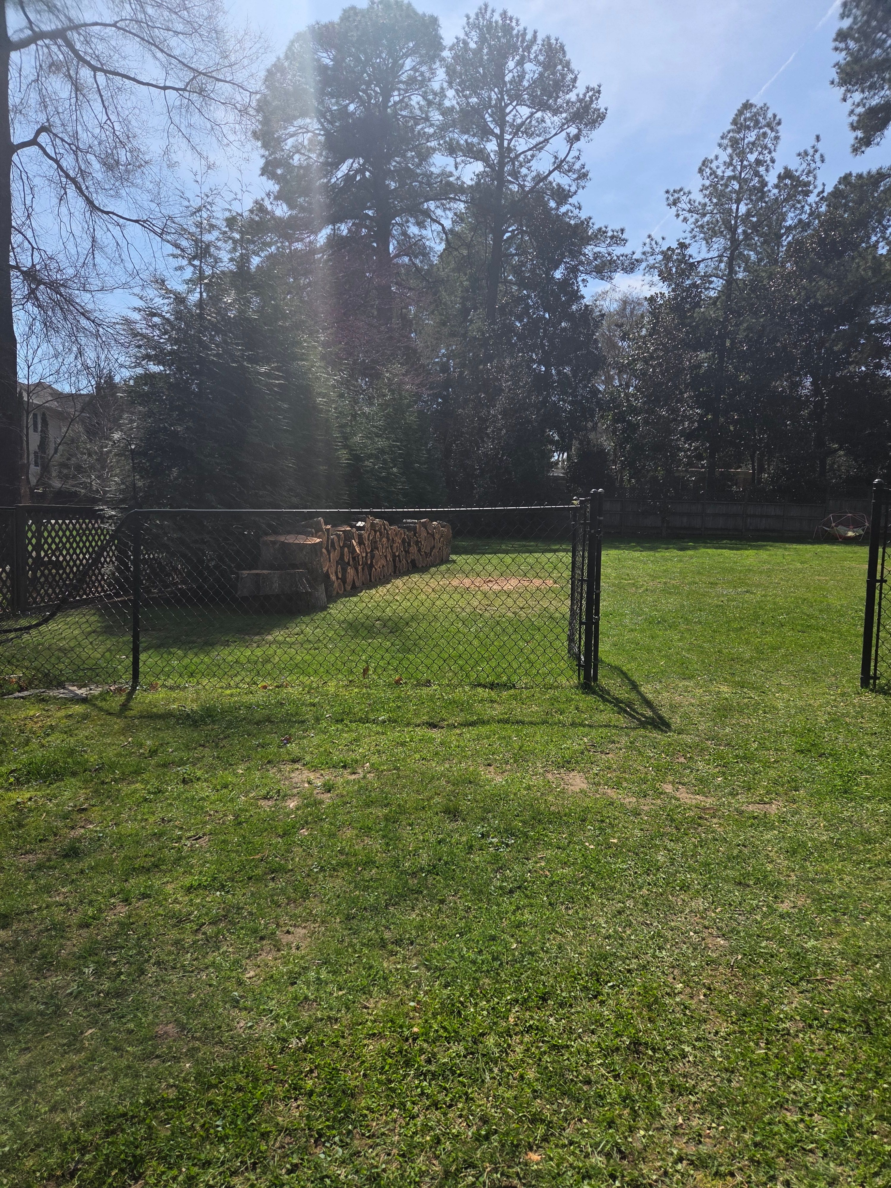  for Green Brothers Tree Services in Blacksburg, VA