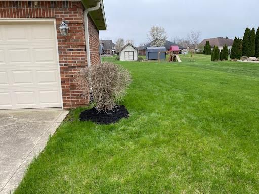  for Bearforce Lawn Care LLC in Greenfield, IN
