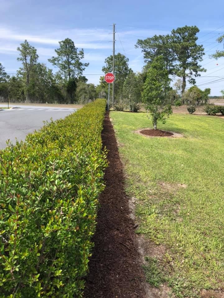  for Genesis Landscape Services in Spring Hill, FL