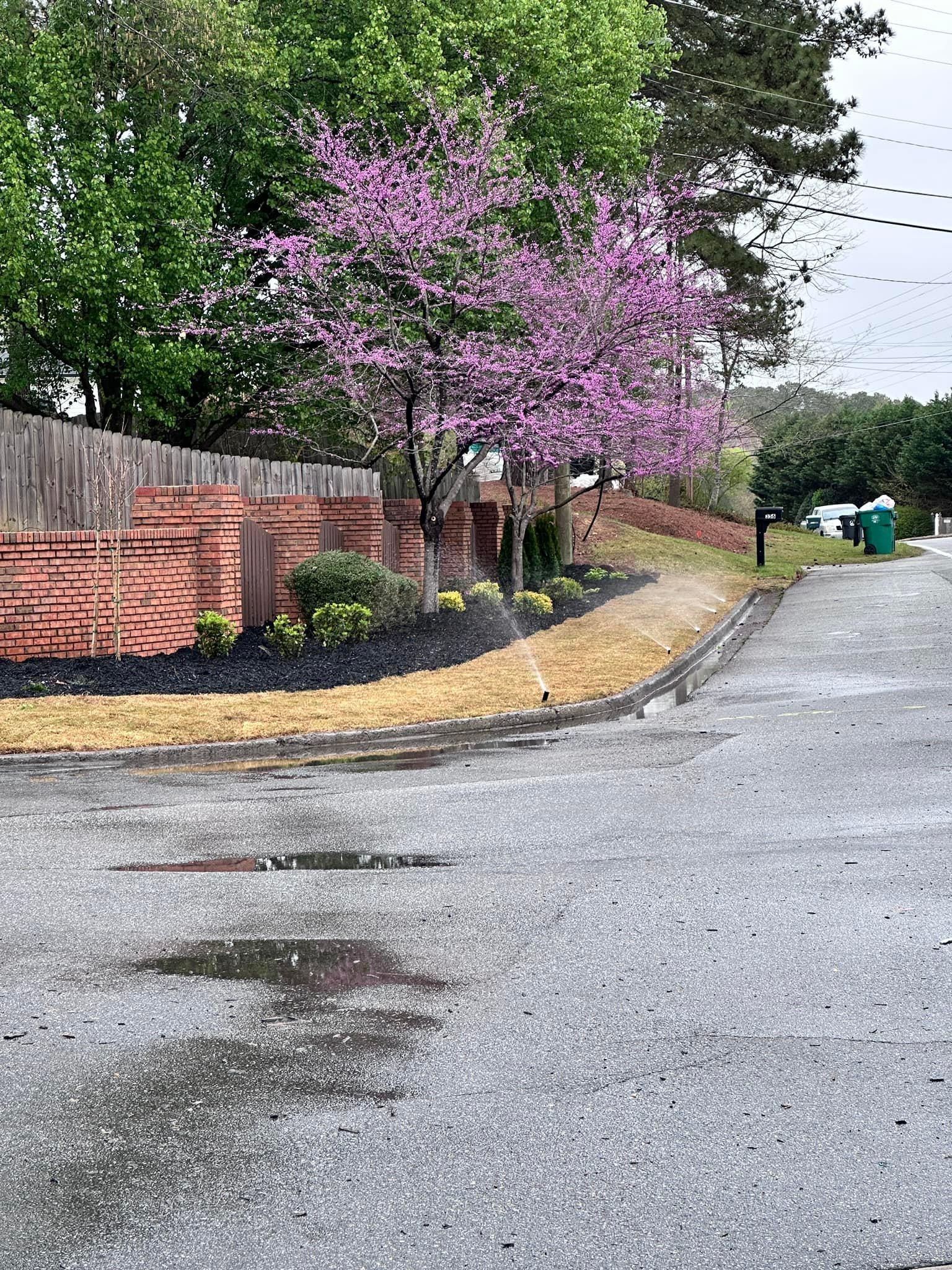  for Sexton Lawn Care in Jefferson, GA